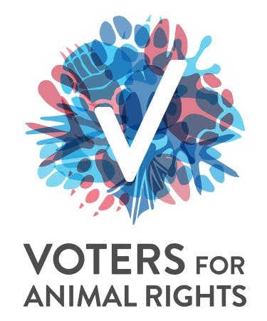 Animal Rights