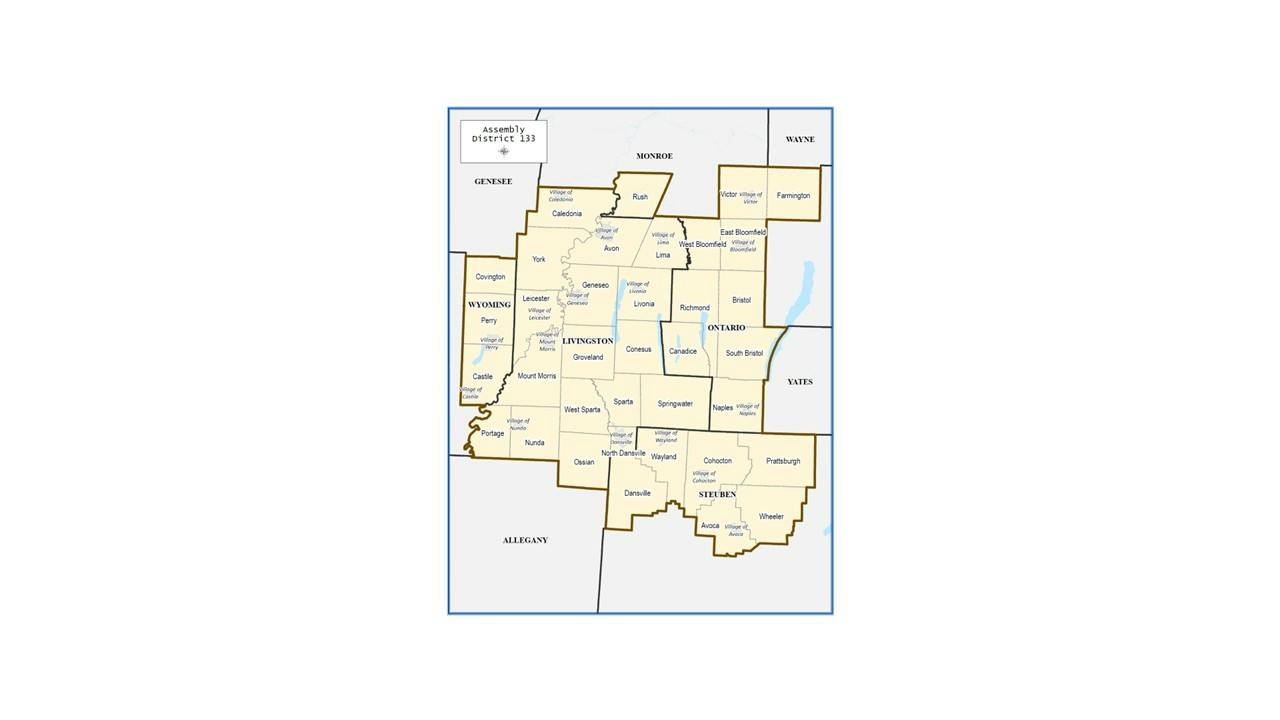 Assembly District 133 (2026)