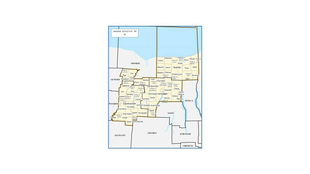 Assembly District 133 (2026)