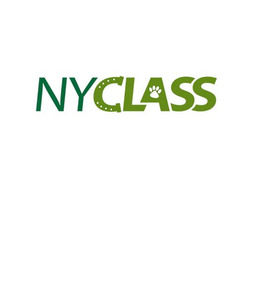 NYCLASS