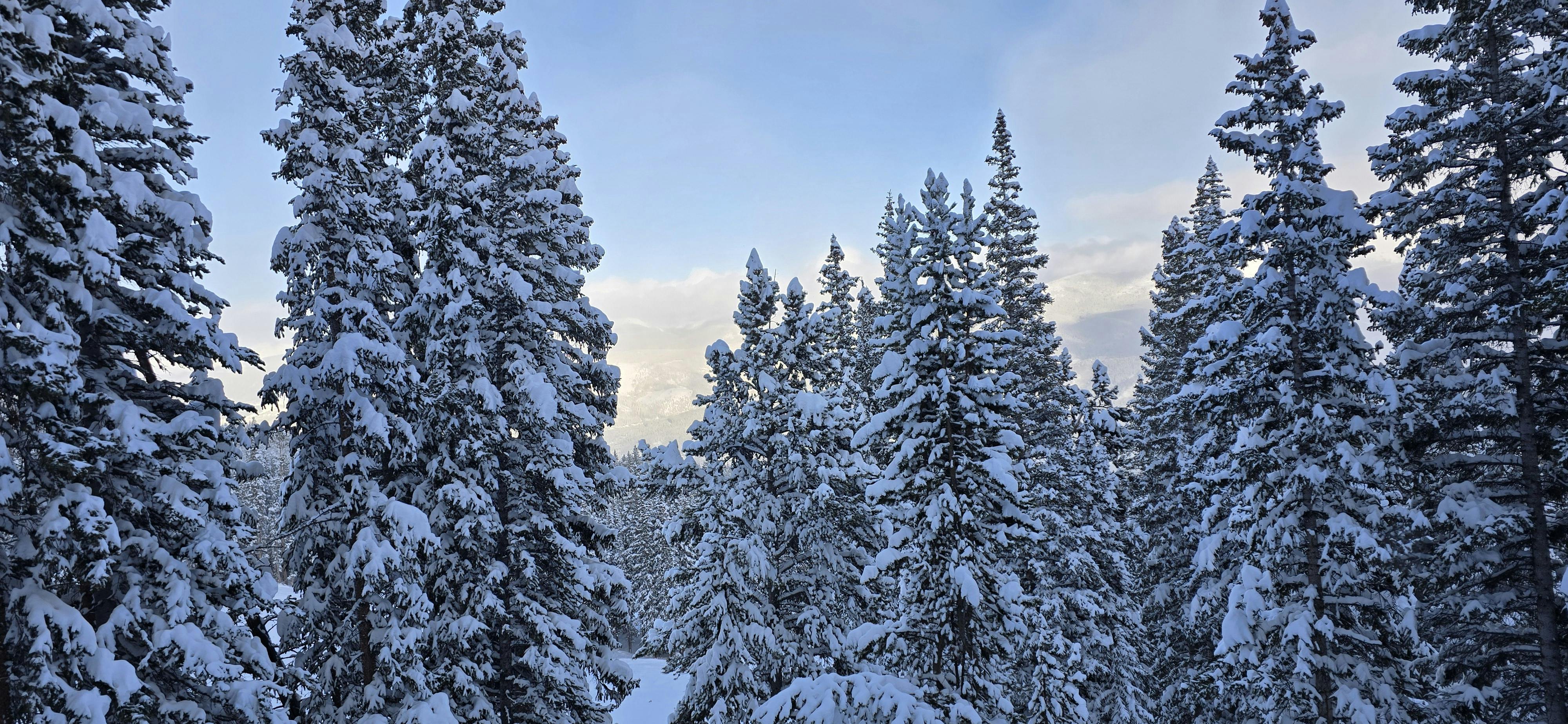 Hero background image