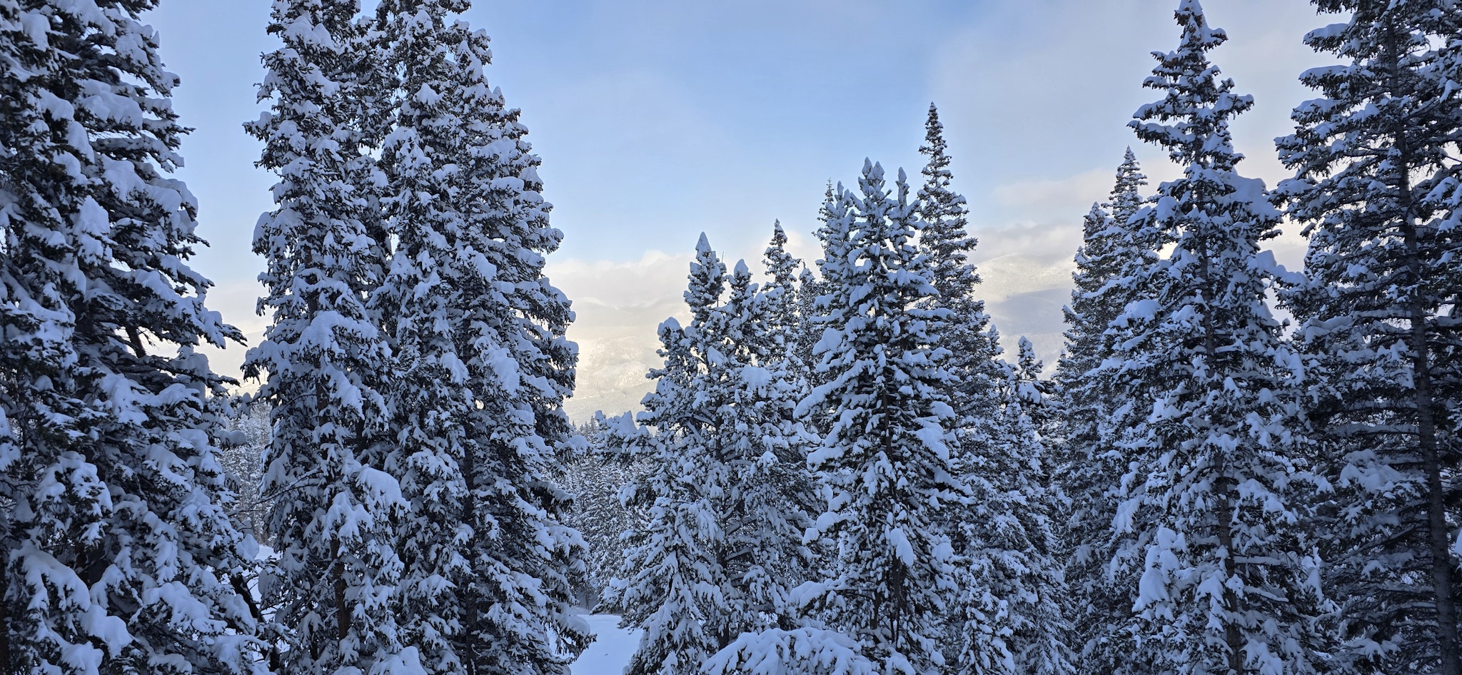 Hero background image