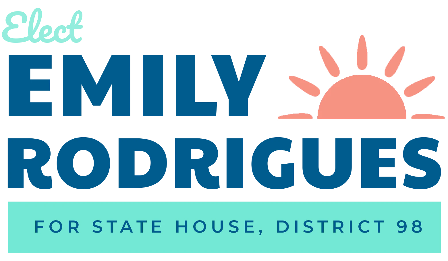 Emily Rodrigues for State House