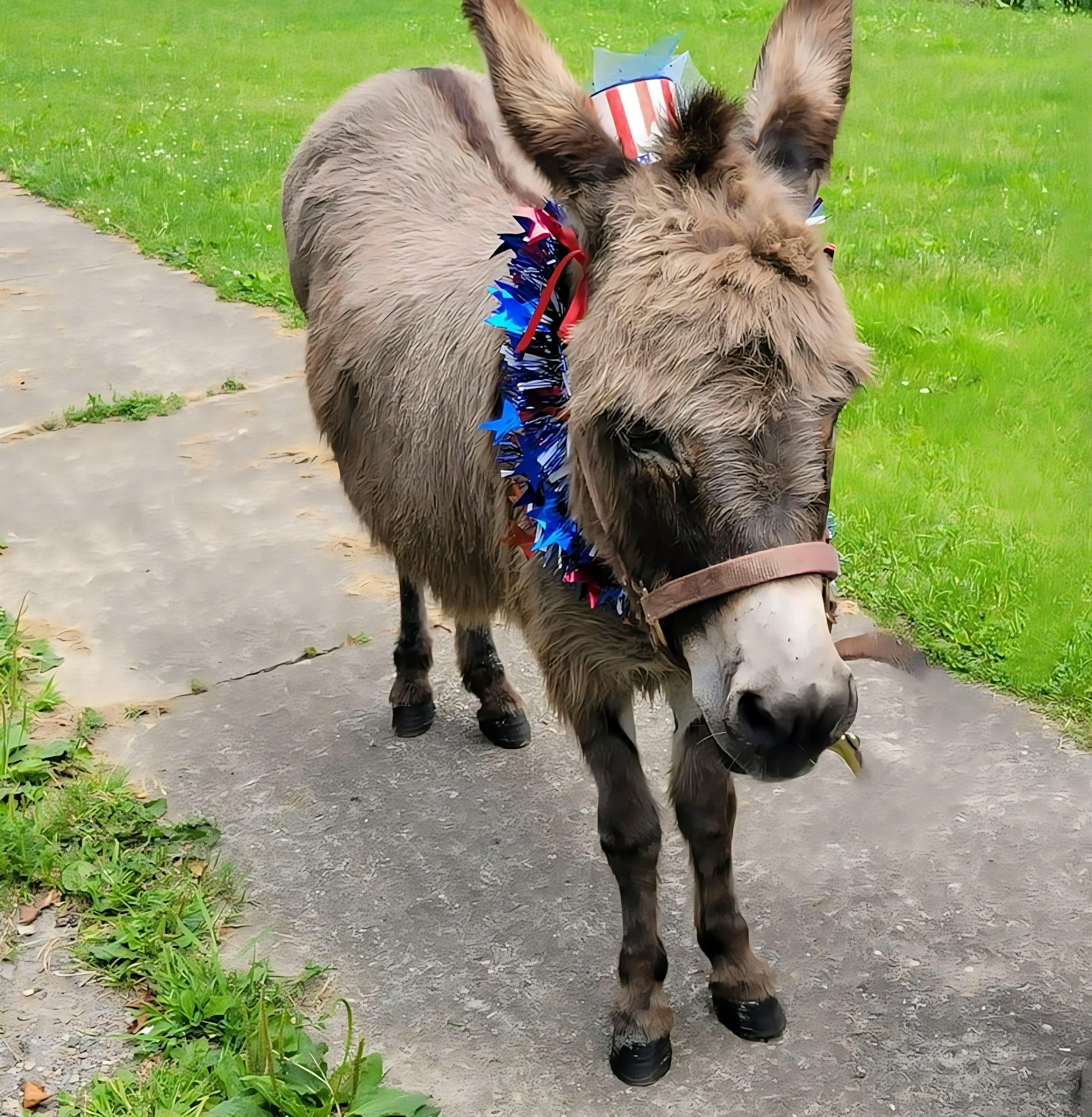 Hero background image