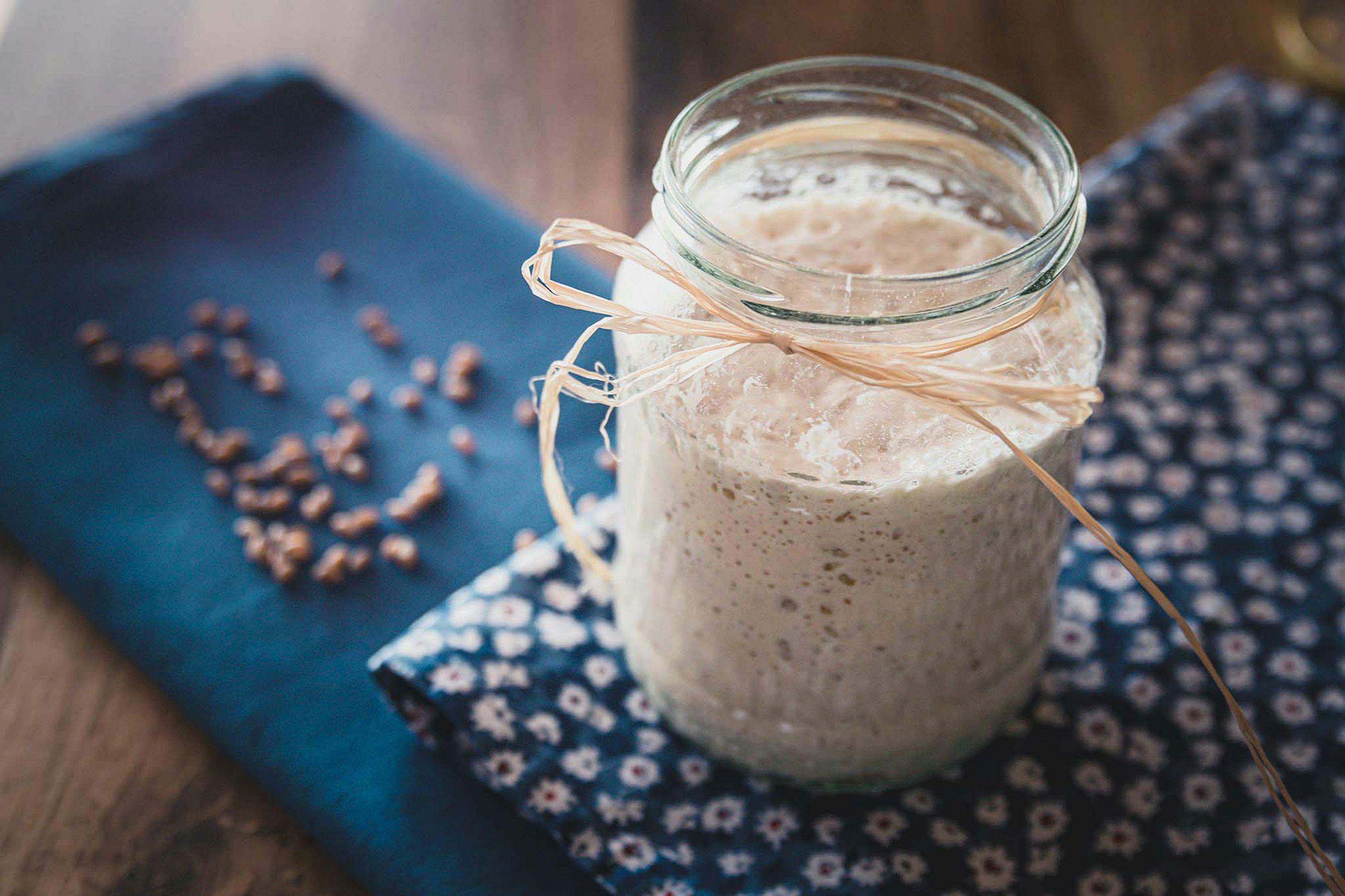 How to feed your starter