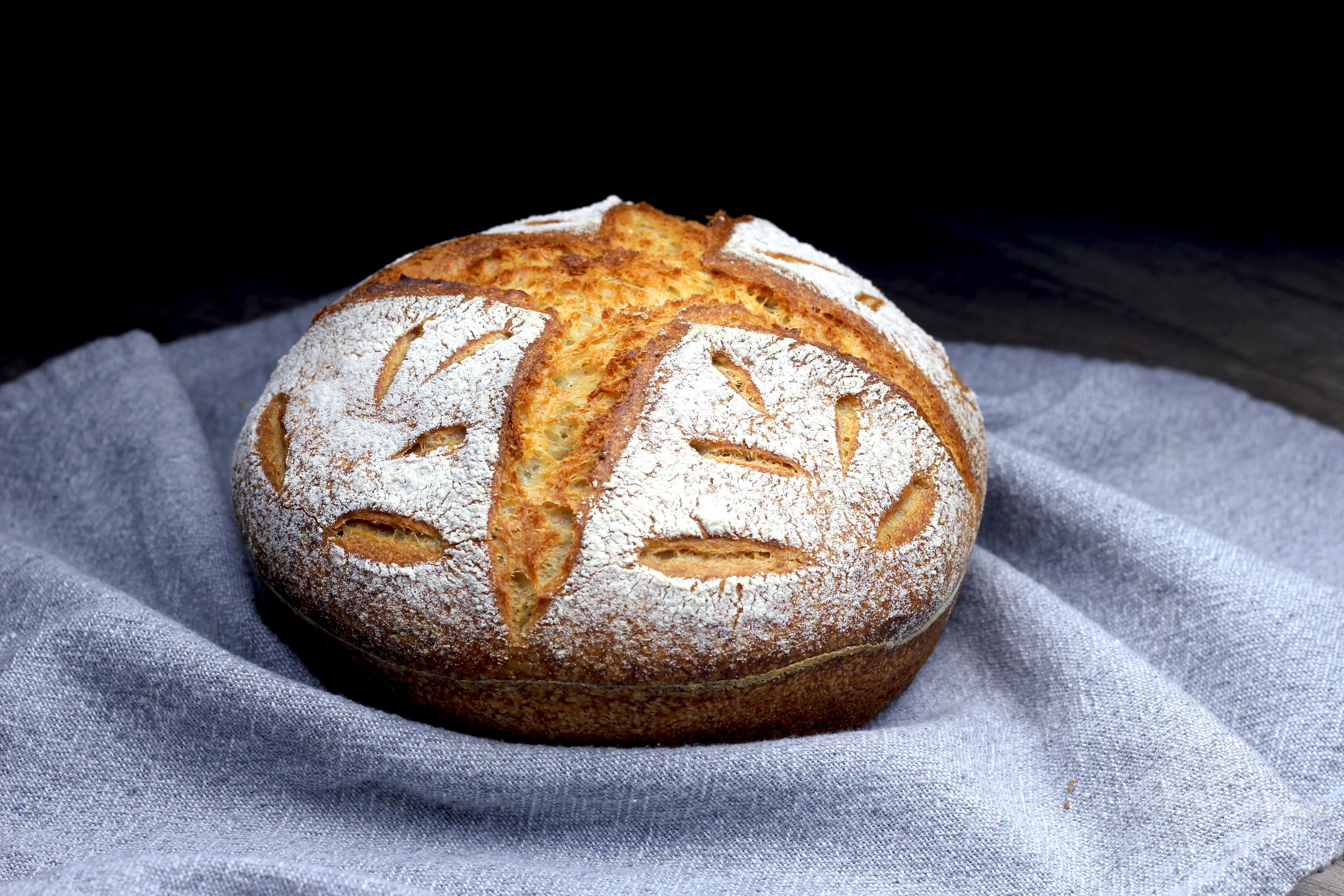 Basic bread recipe