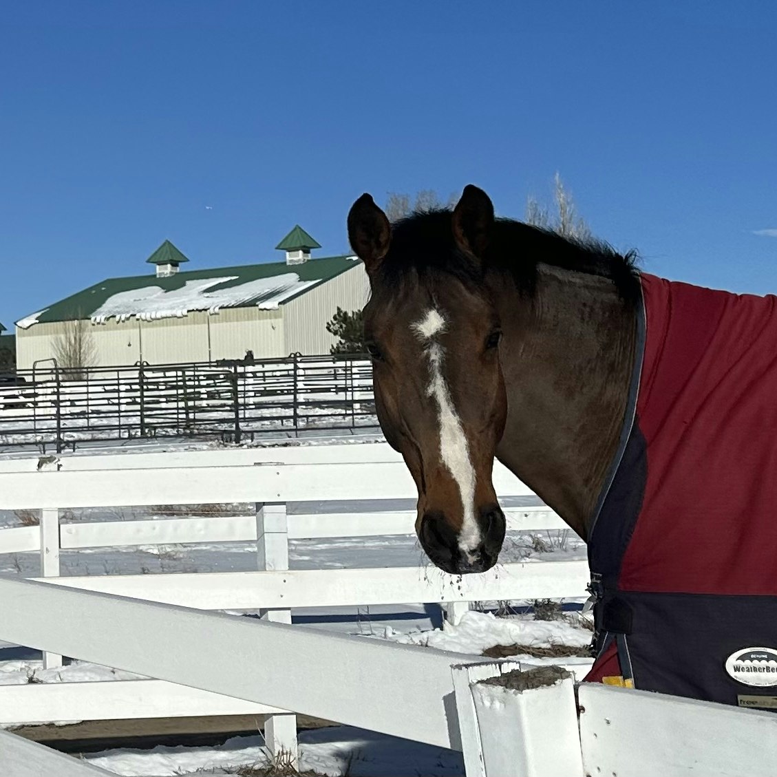 <p>Susan DeSylvia, M.A.</p>