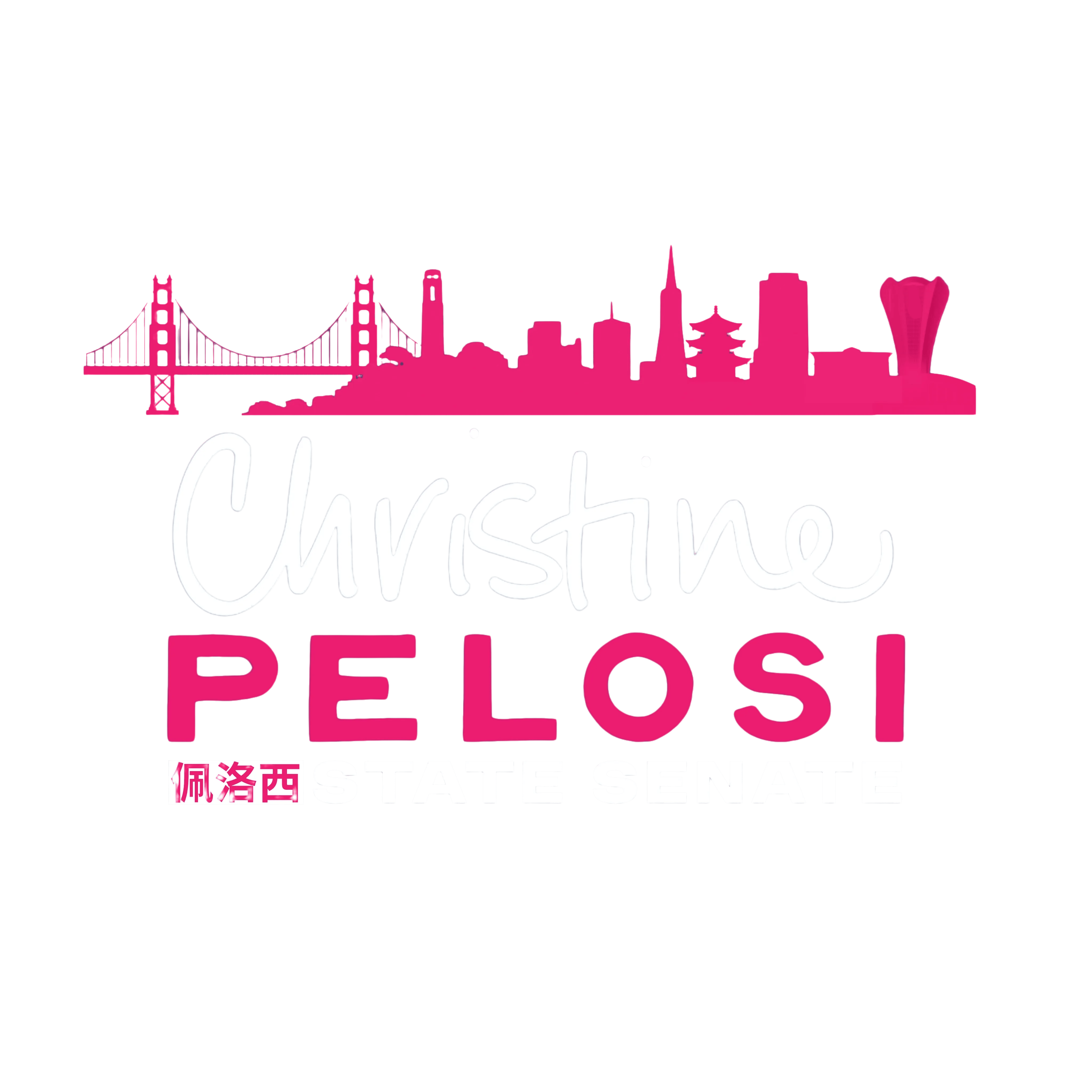 Christine Pelosi for State Senate