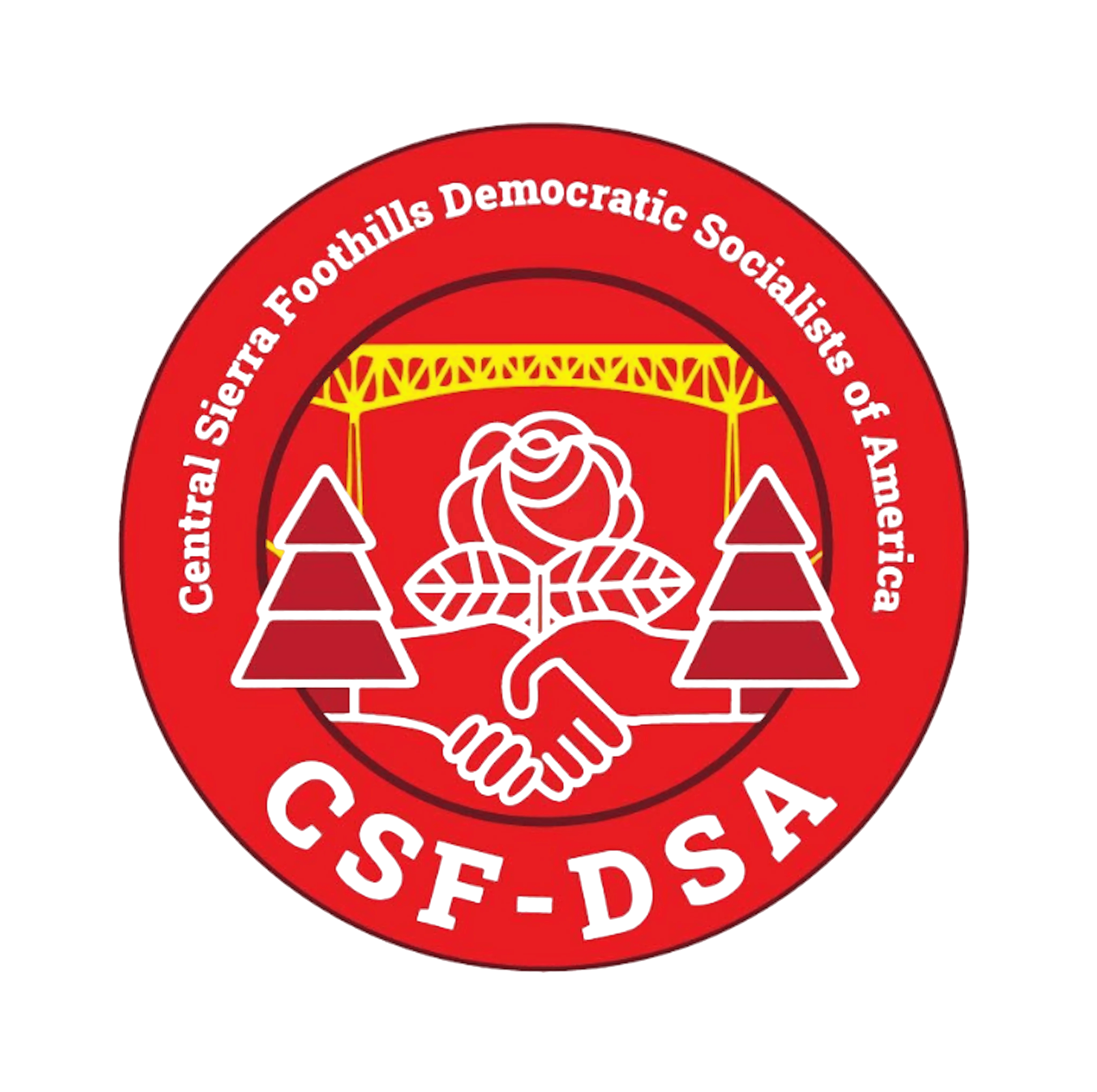 CSF DSA Logo