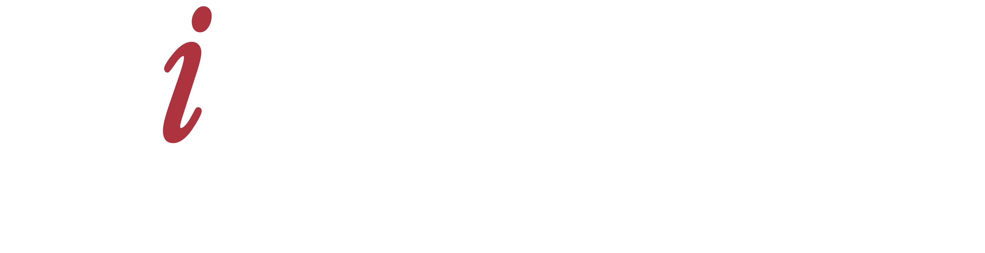 DiNapoli for New York logo