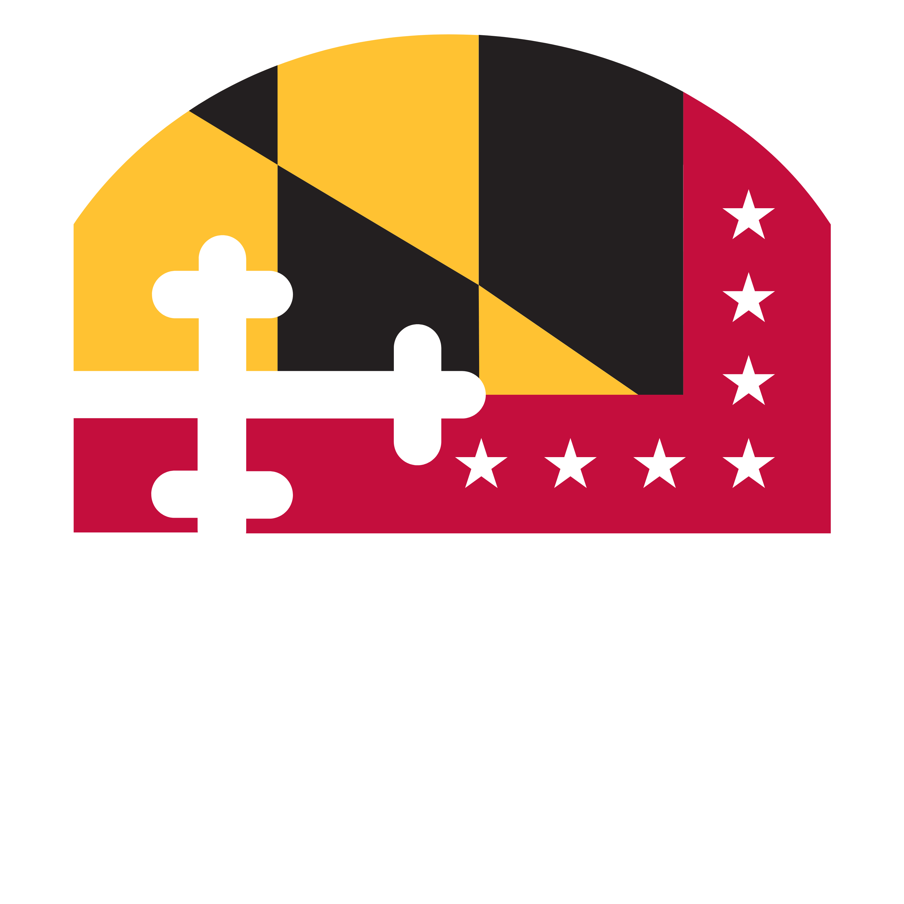 Ethan Wechtaluk for Maryland logo