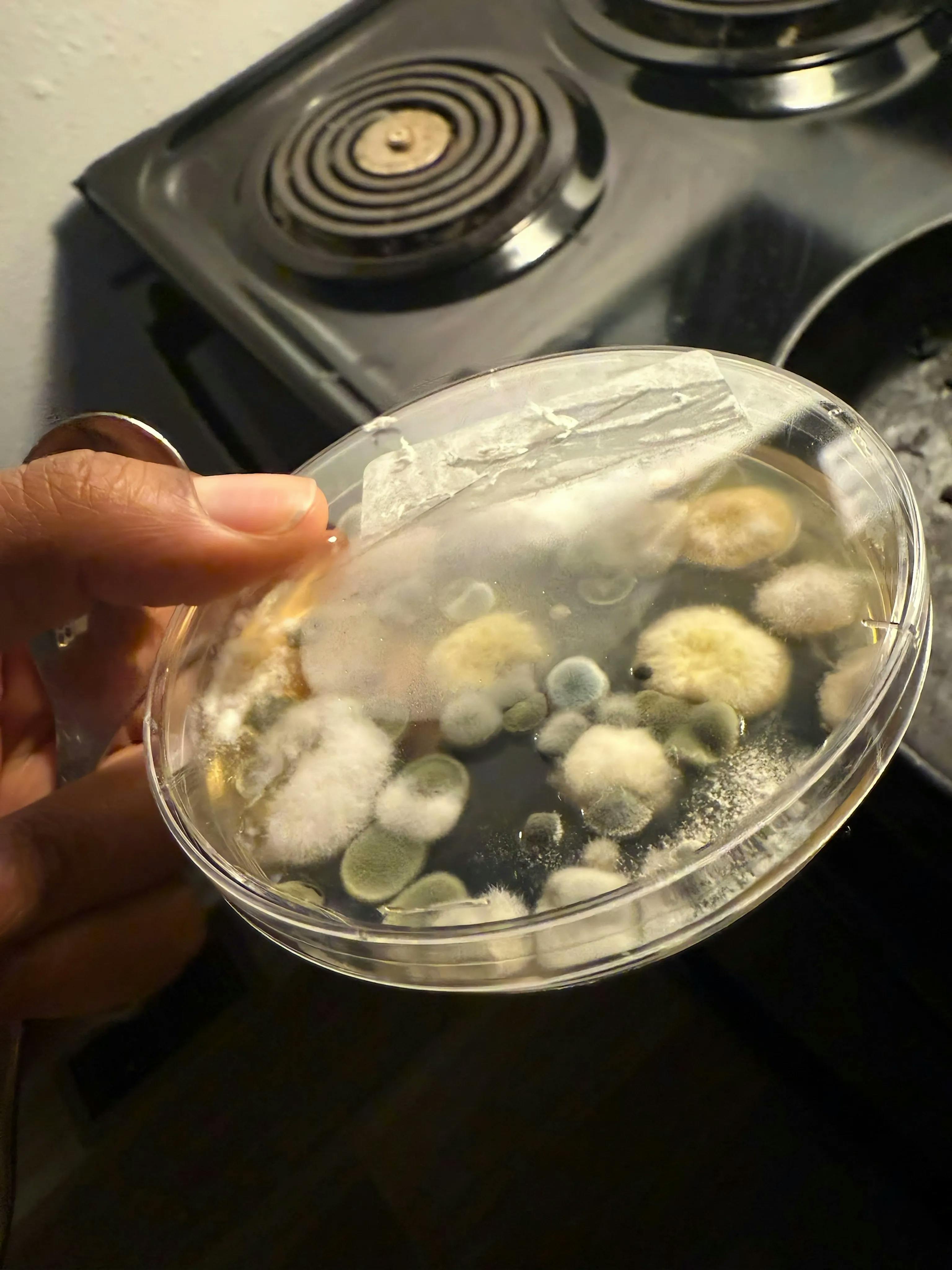 Video component image