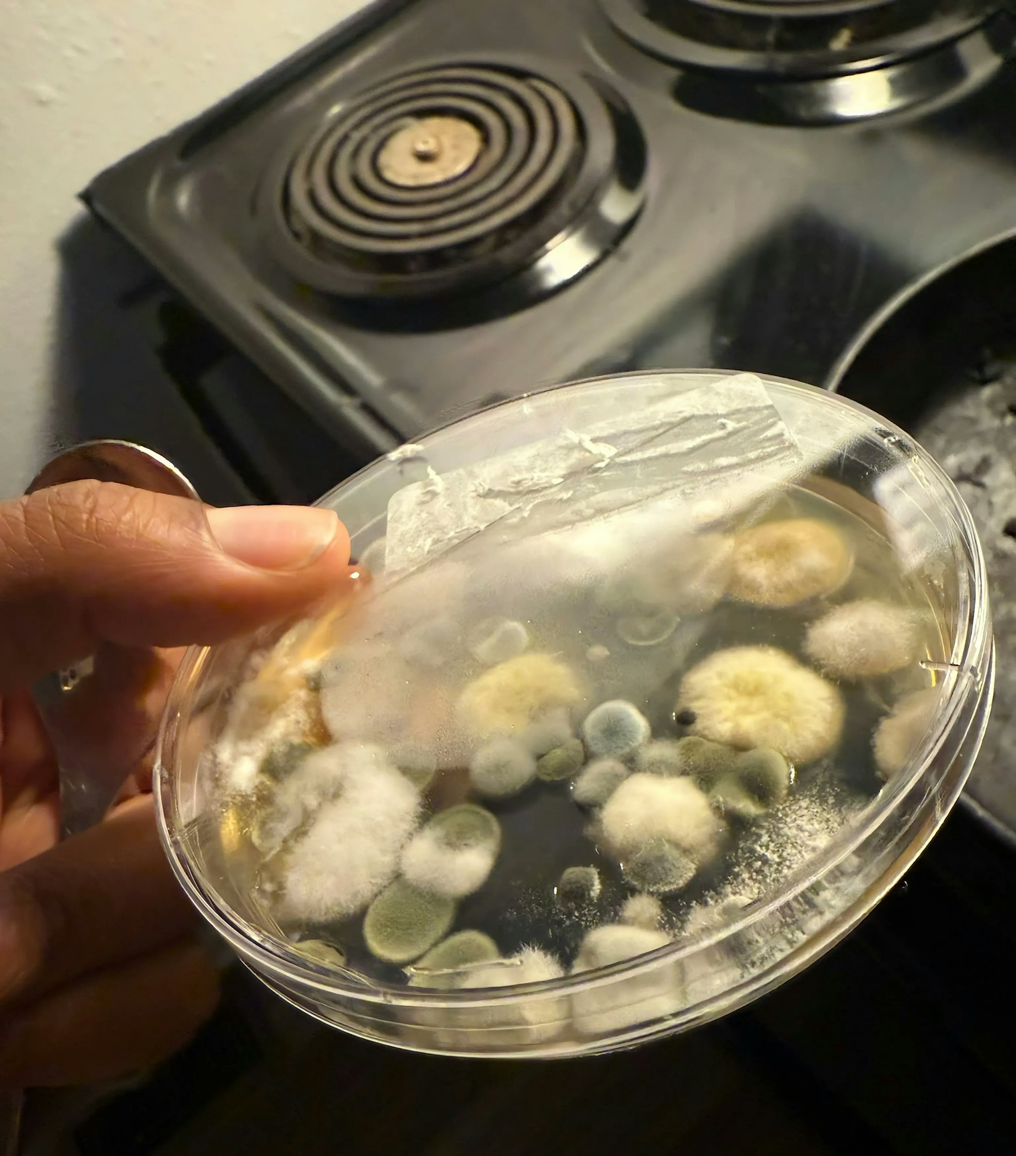 Video component image