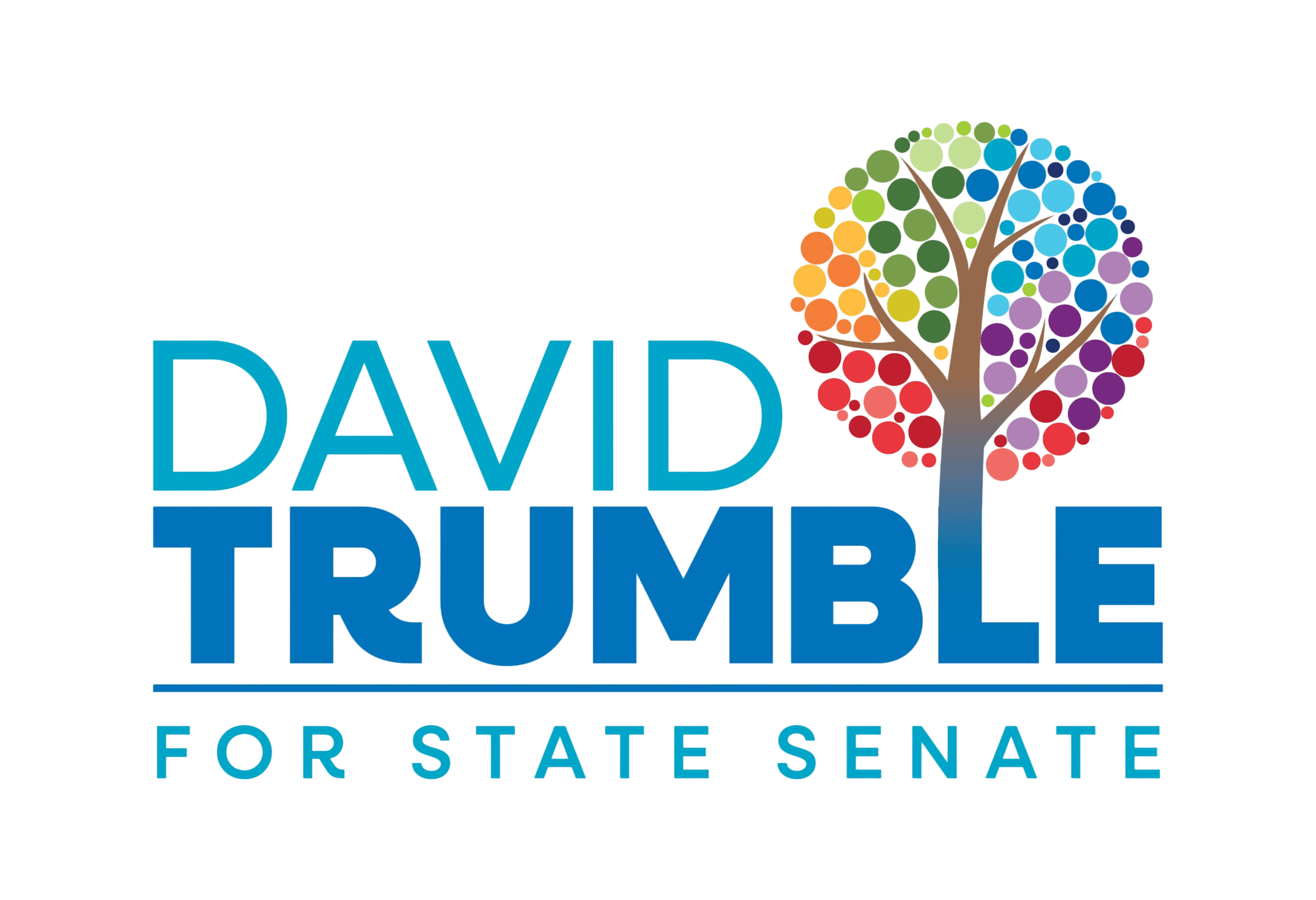 David Trumble for New Hampshire State Senate, District 8