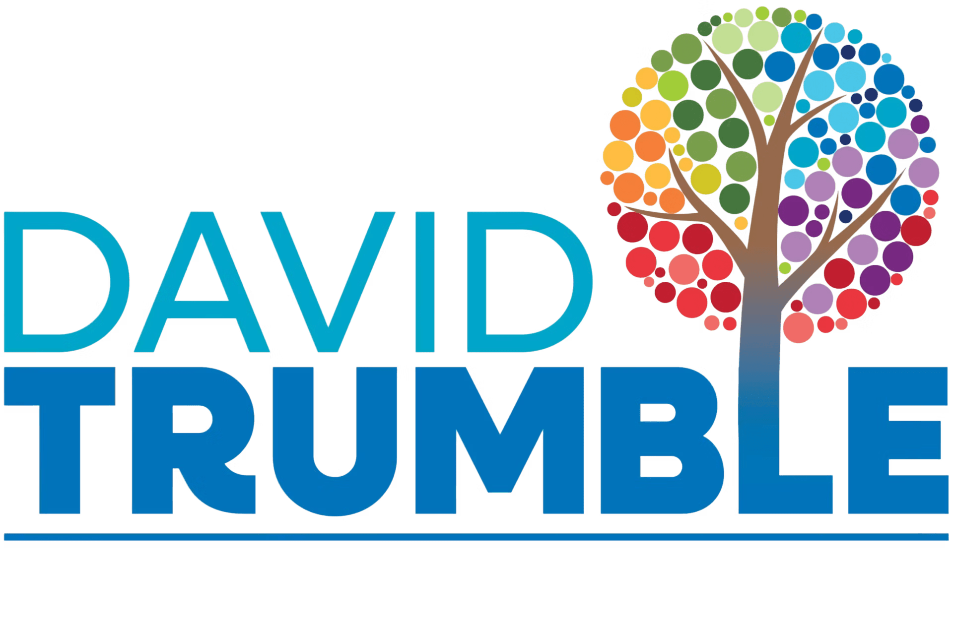 David Trumble for New Hampshire State Senate, District 8