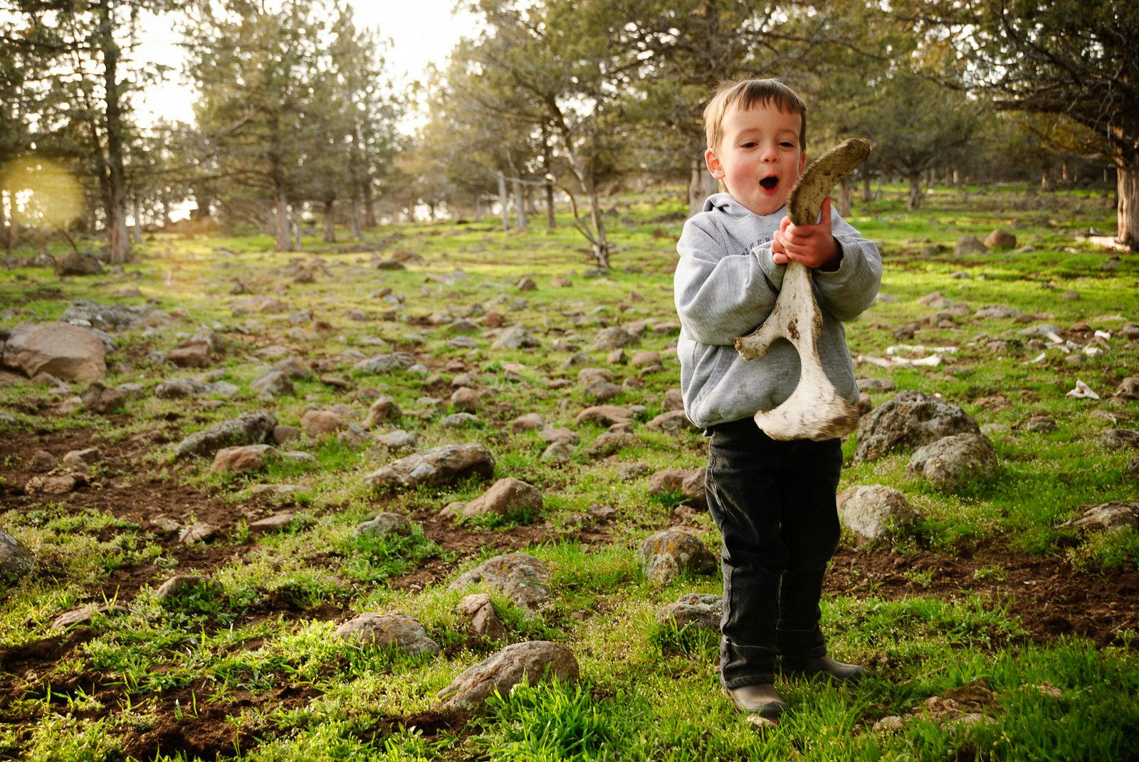 photo (generic)