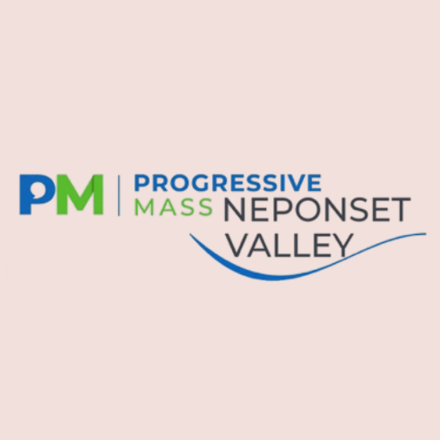 Progressive Mass Neponset Valley proudly endorses Persis Yu