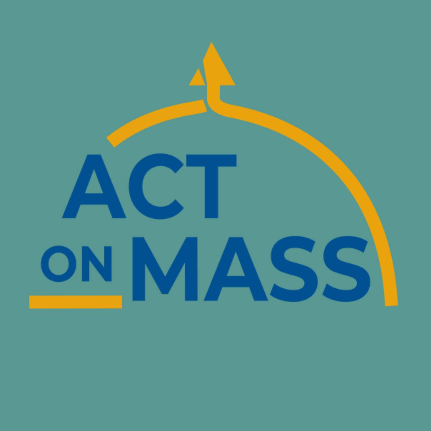 Act On Mass proudly endorses Persis Yu