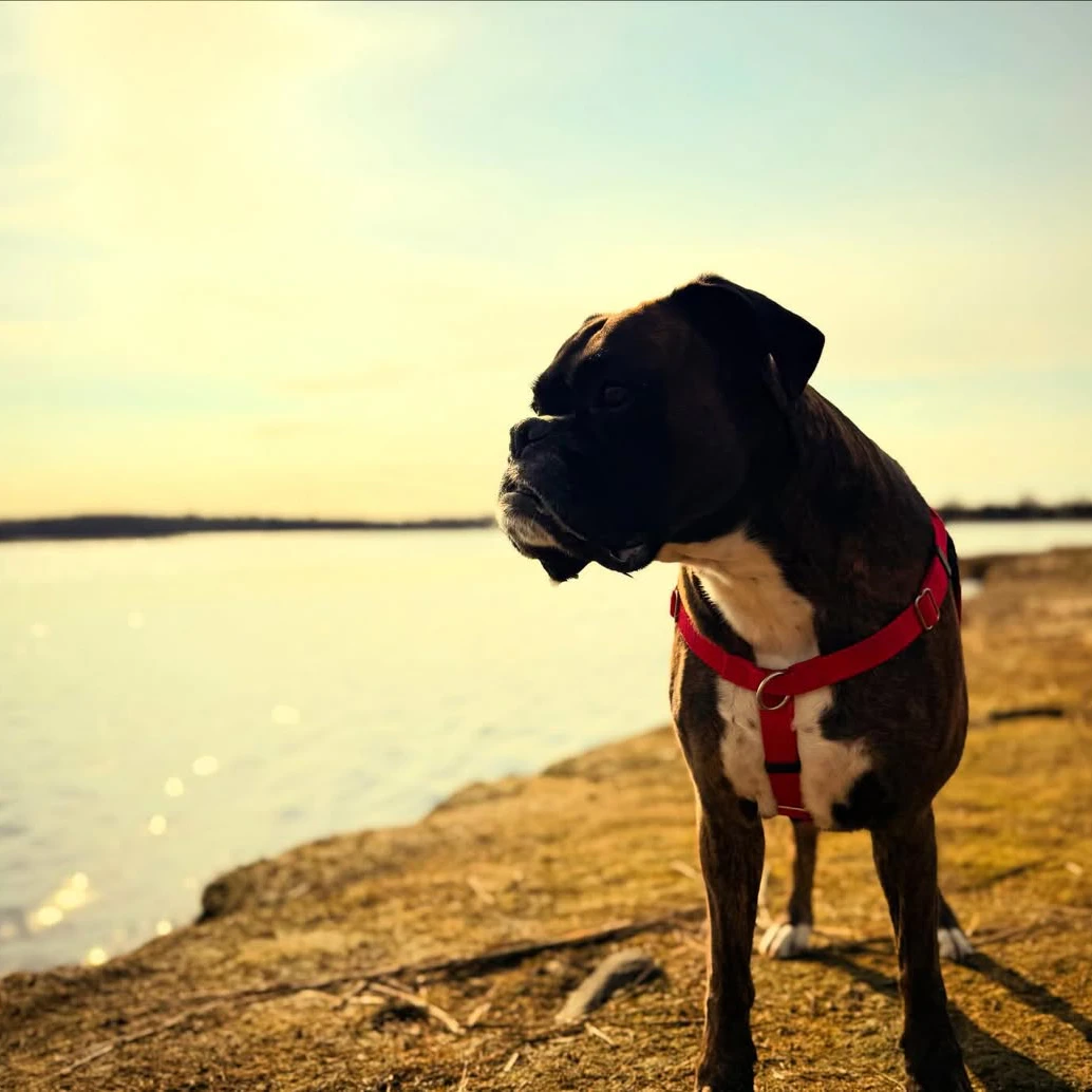 Jay Talerman Jay Talerman