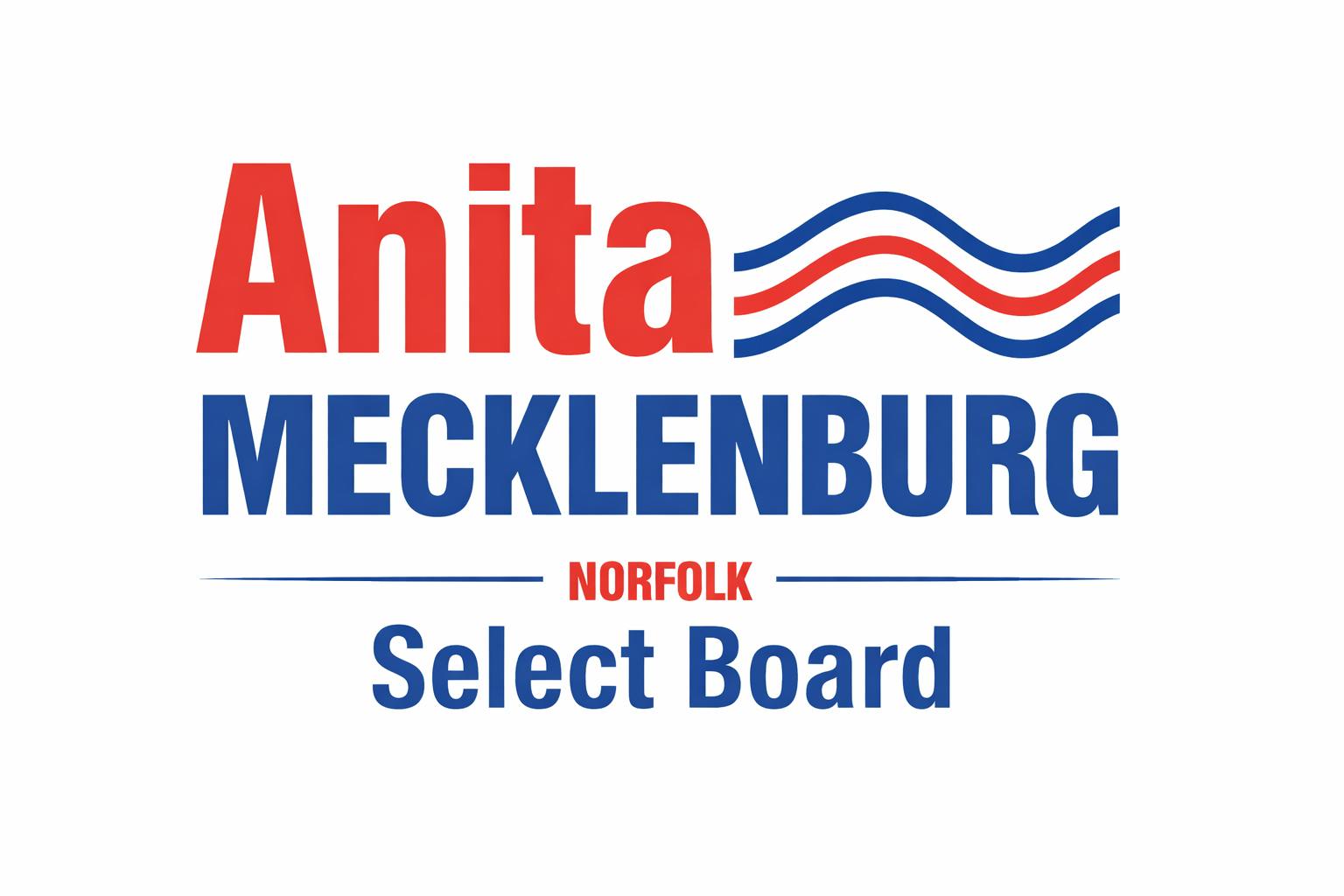 Anita For Norfolk! logo