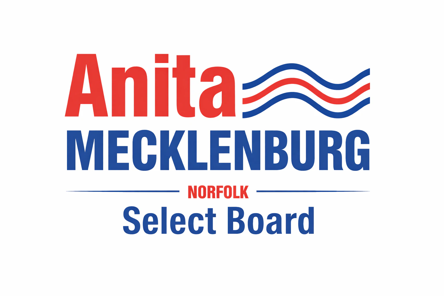 Anita For Norfolk! logo