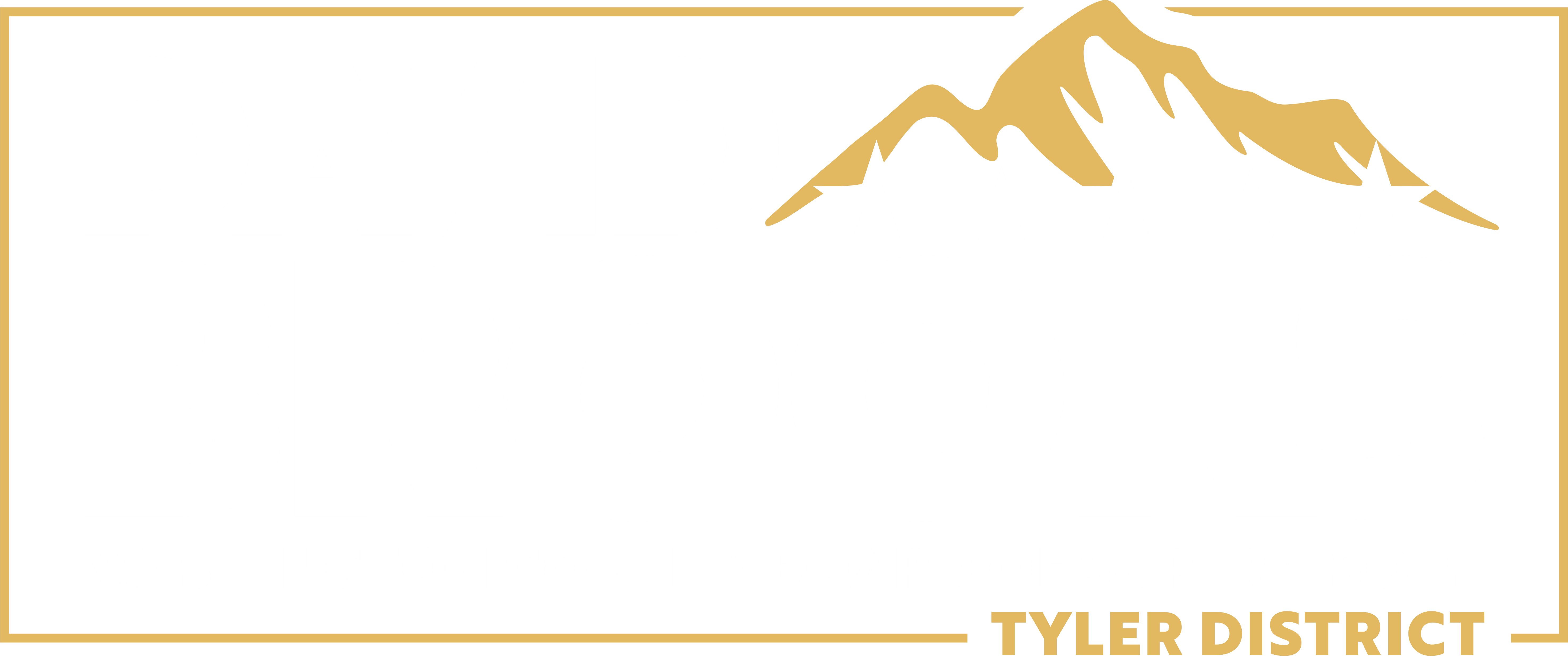 David Brooks for Virginia