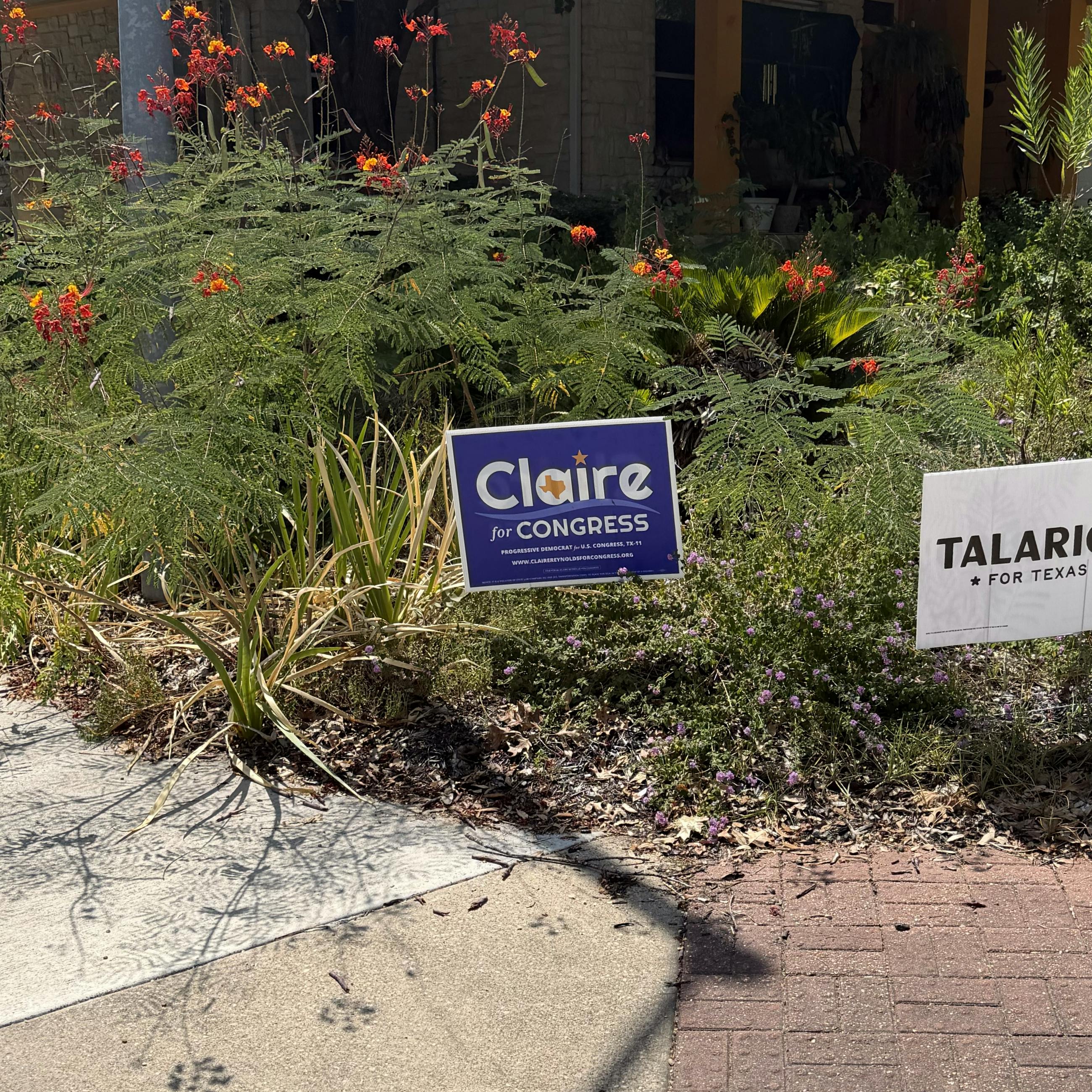 Claire sign in a wonderfully wild yard