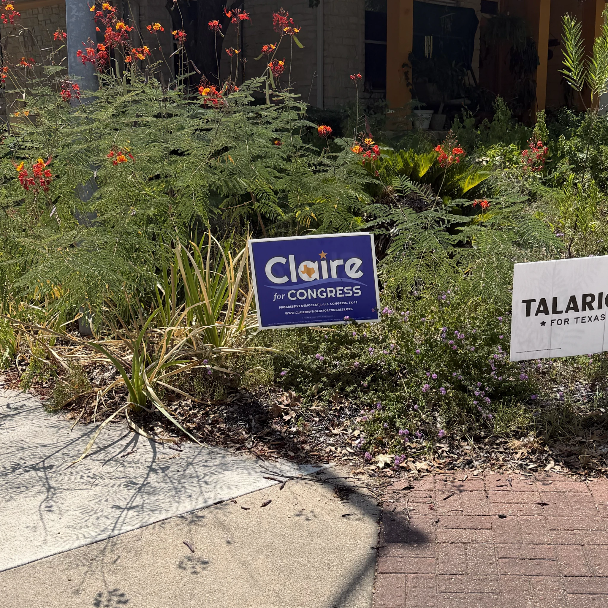 Claire sign in a wonderfully wild yard