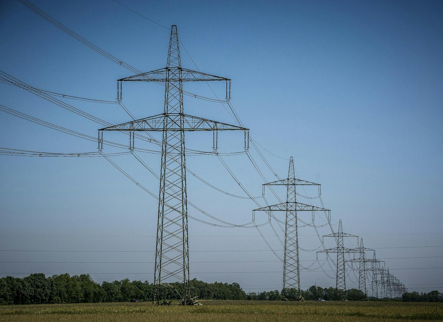 Image by Walter Bichler from Pixabay