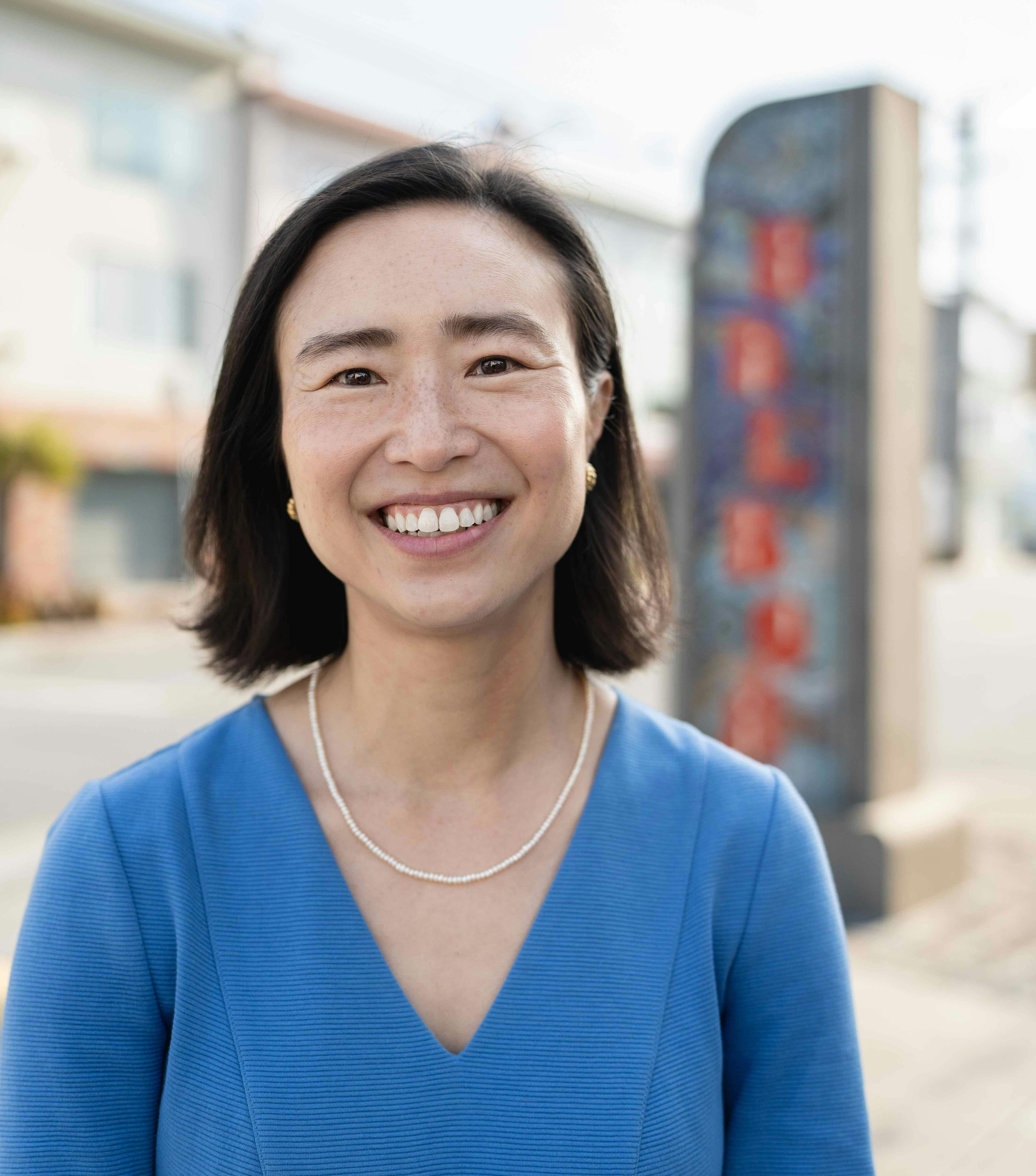 Connie Chan Candidate for Congress