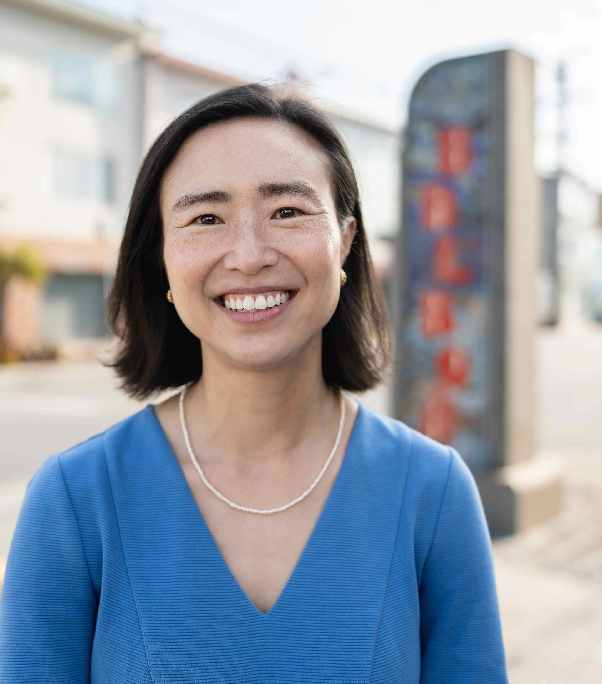 Connie Chan Candidate for Congress