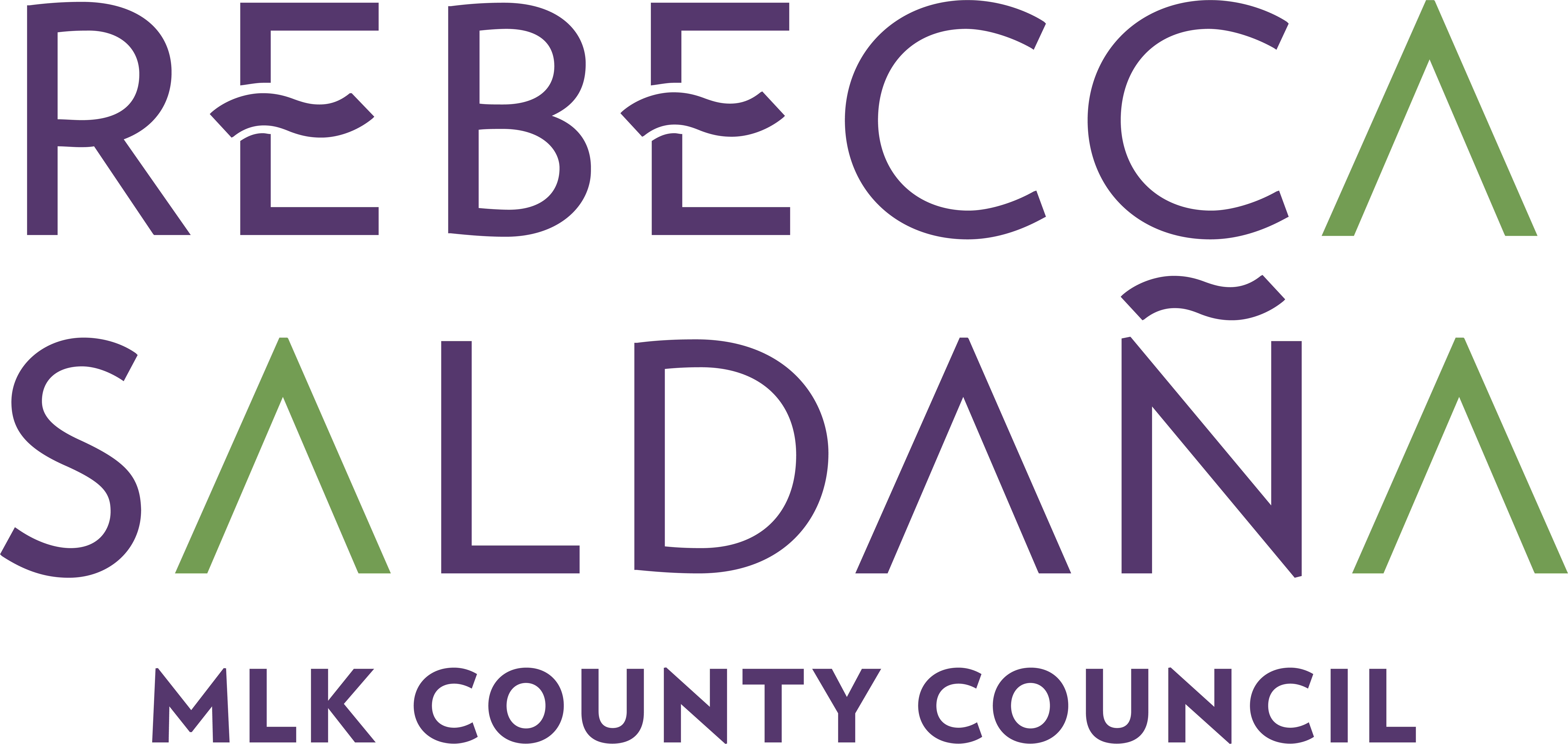  Rebecca Saldaña for King County