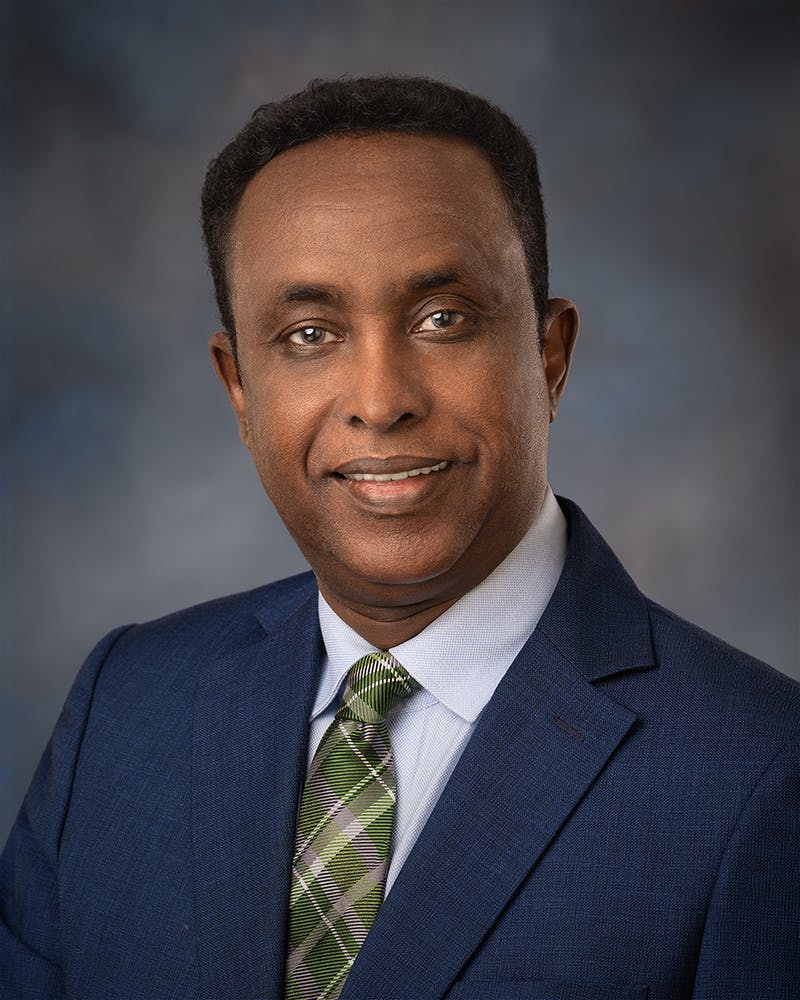 Mohamed Egal