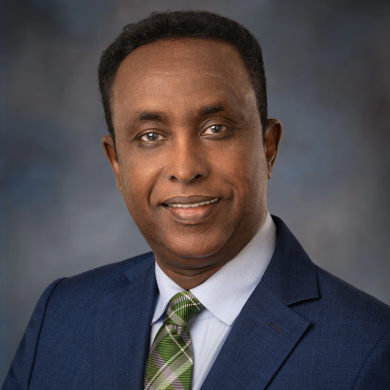 Mohamed Egal Mohamed Egal