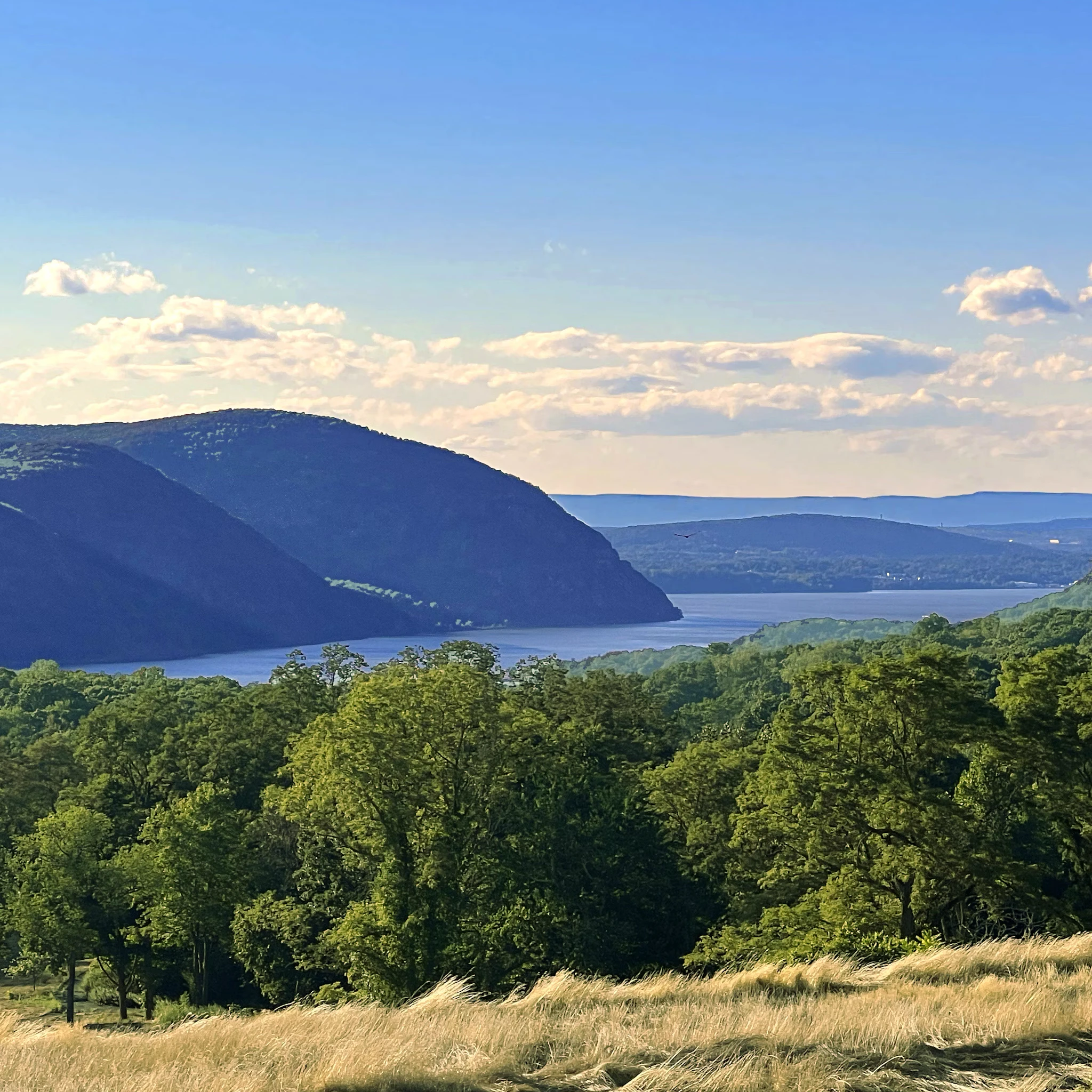 Dr. Michael Strauss Dr. Michael Strauss