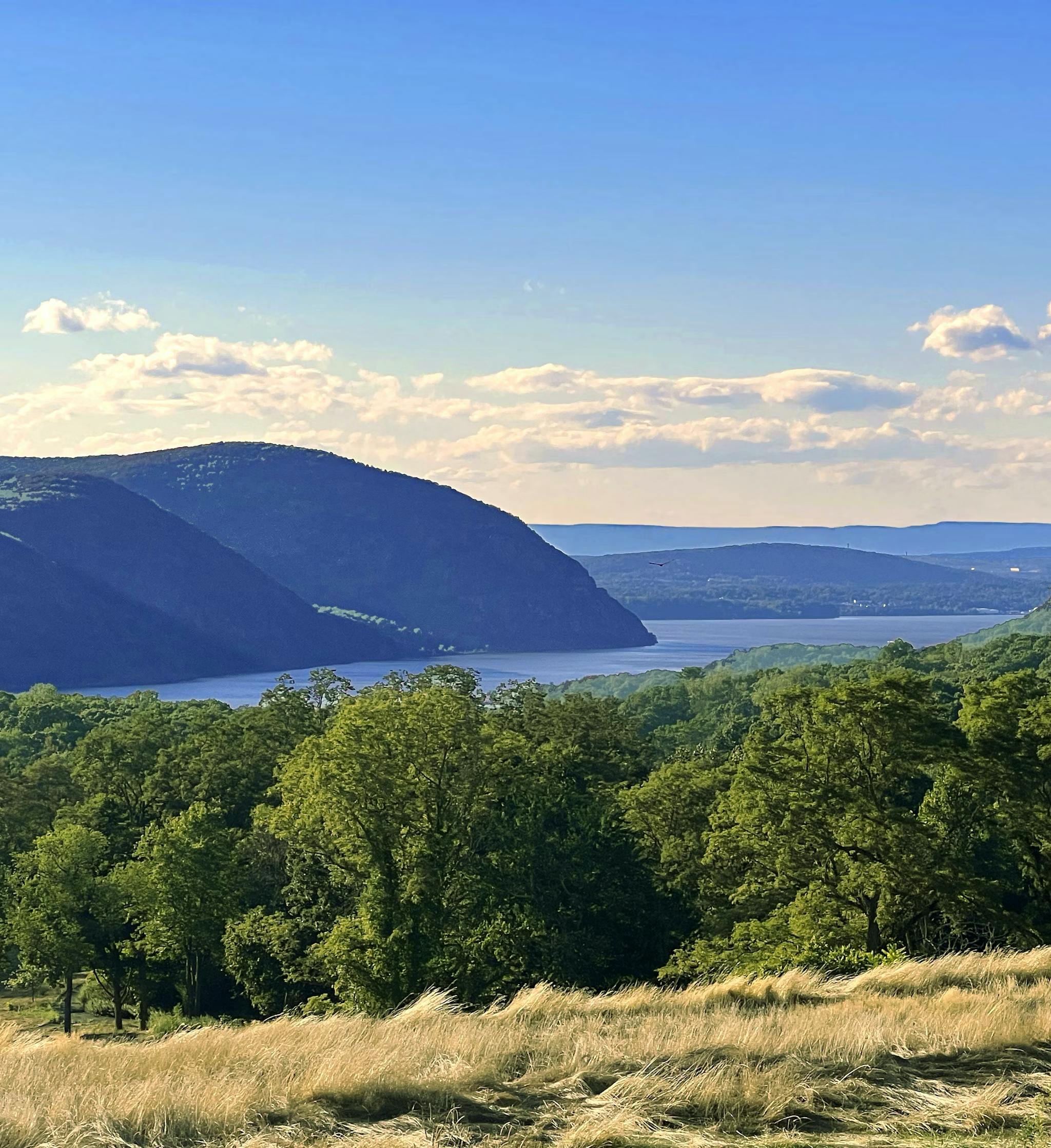 Hero background image