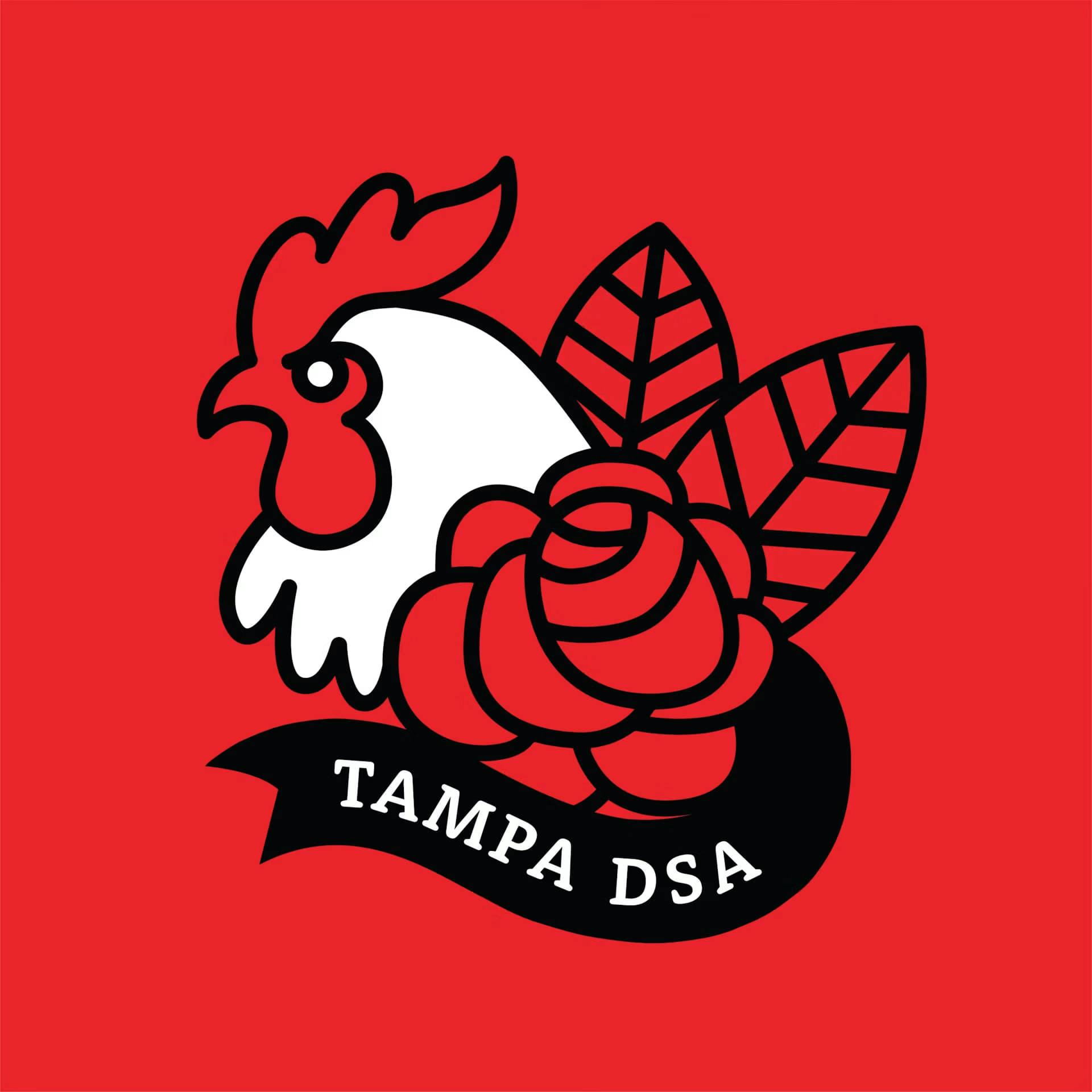 Tampa DSA