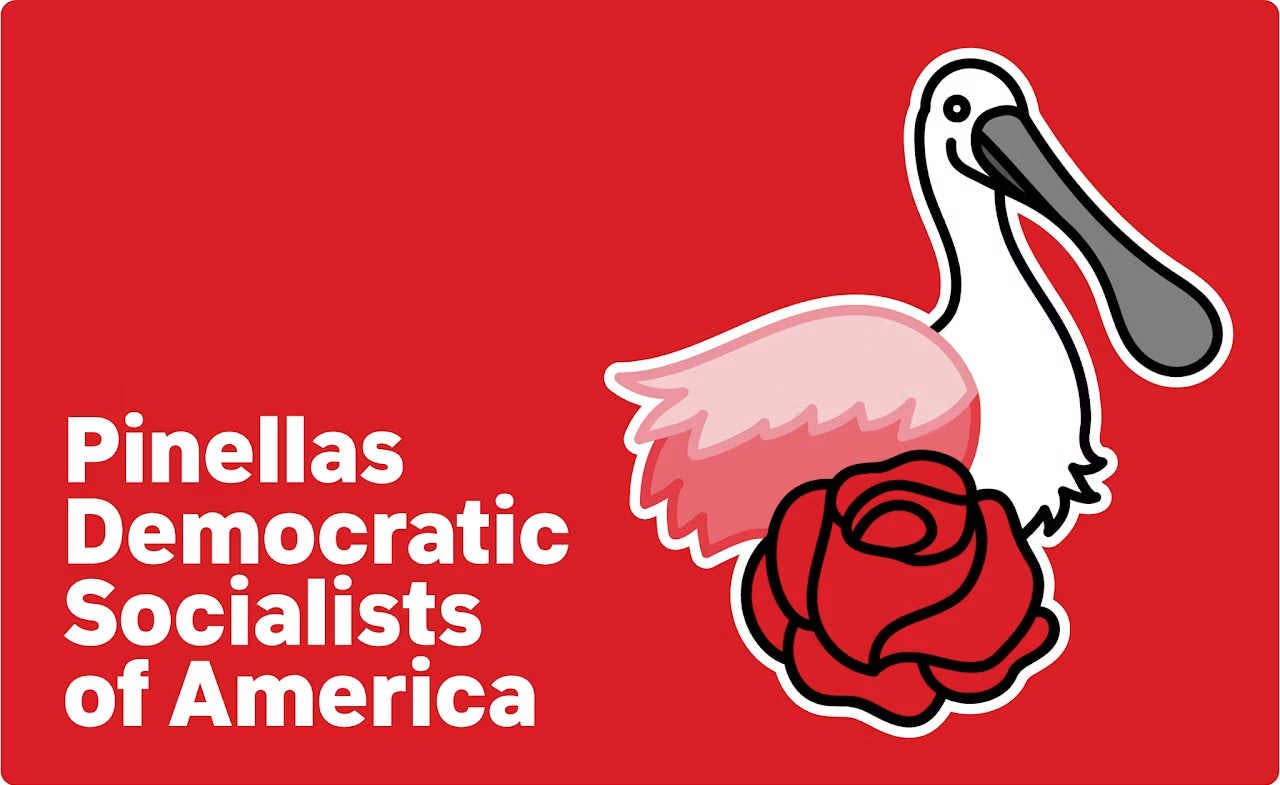 Pinellas DSA
