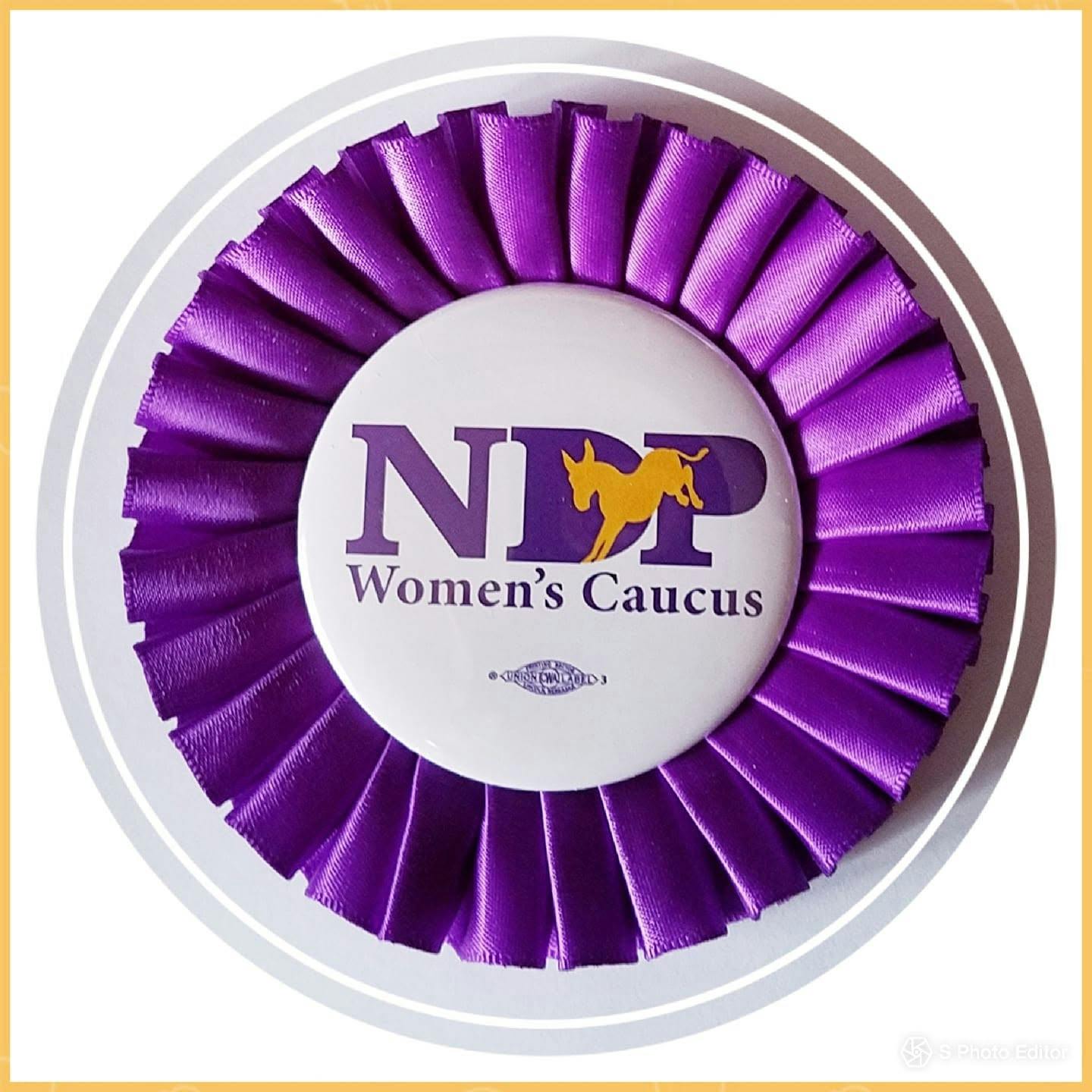 Nebraska Democratic Party Women's Caucus