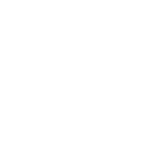 <p>Beyond the Ballot</p>