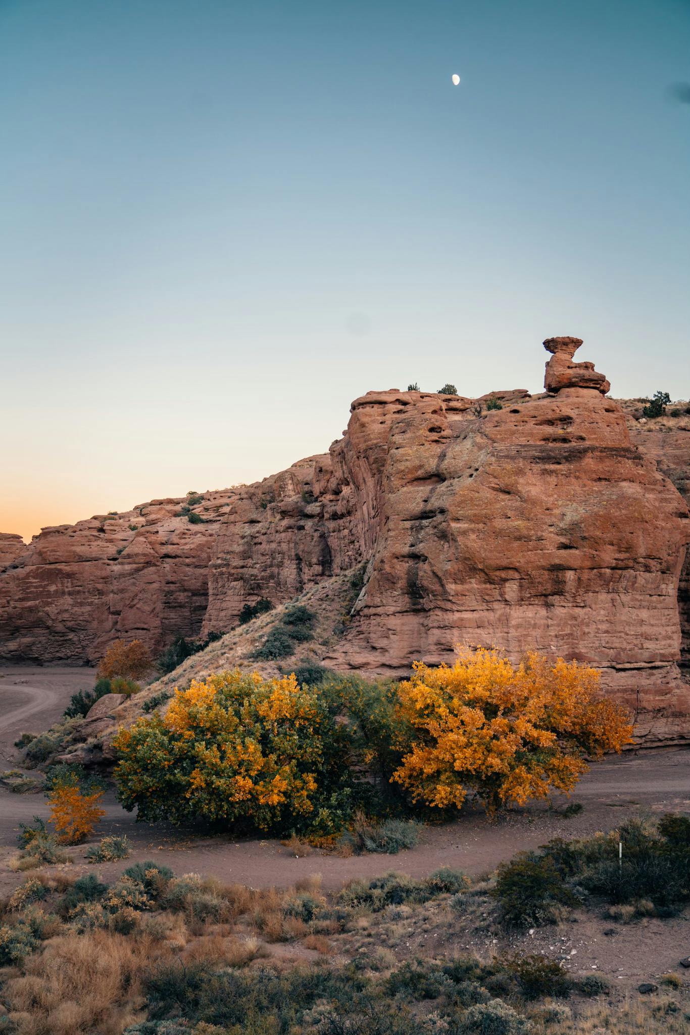 Hero background image