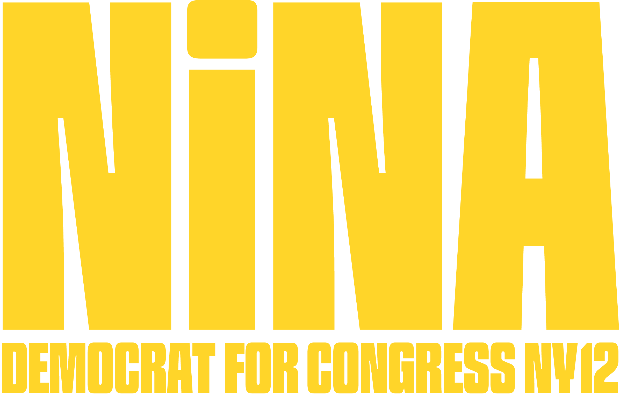 Nina Schwalbe for Congress | Democrat for NY-12