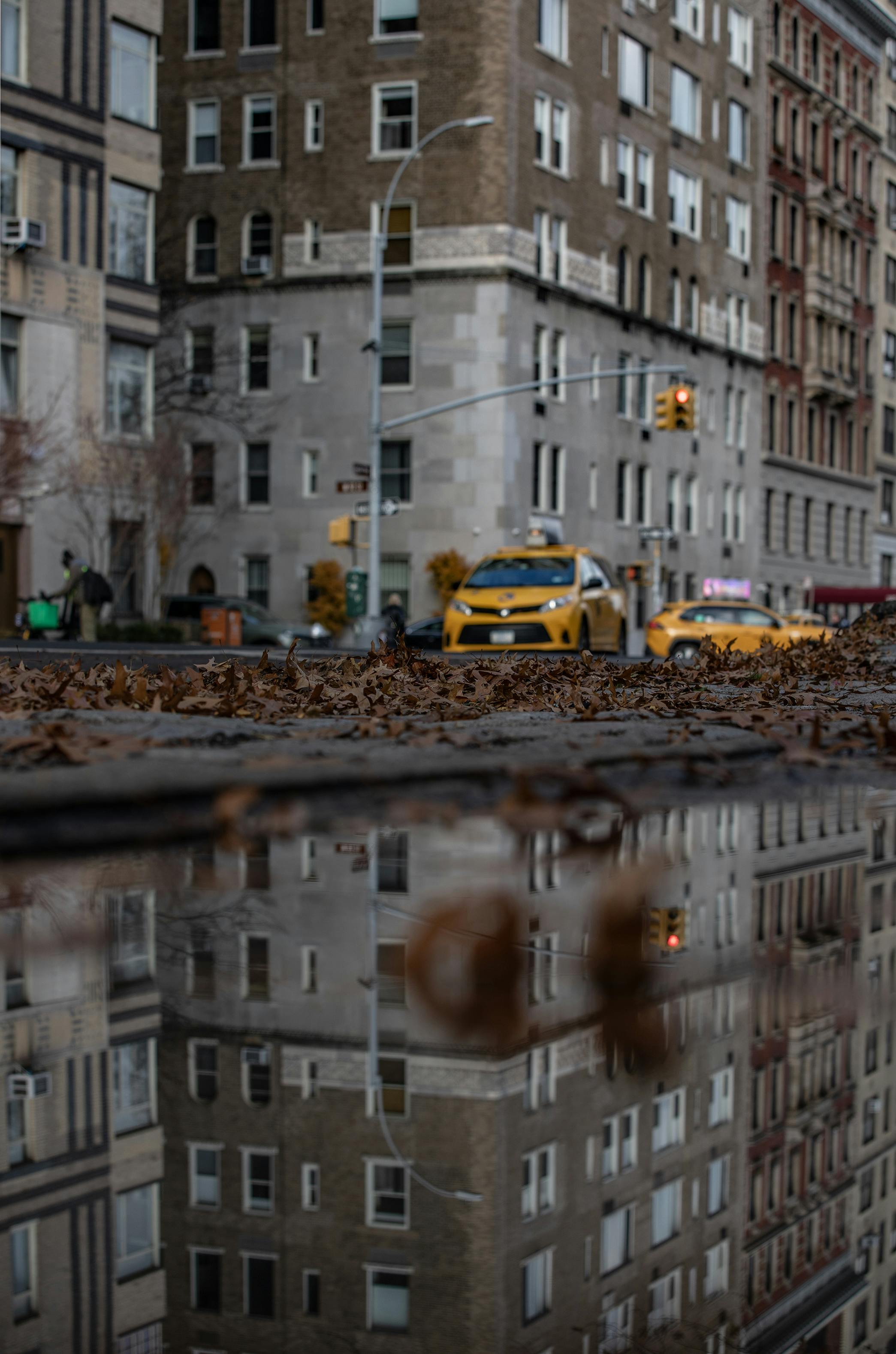 autumn leaves on the floor with NYC taxis at the background (out of focus)