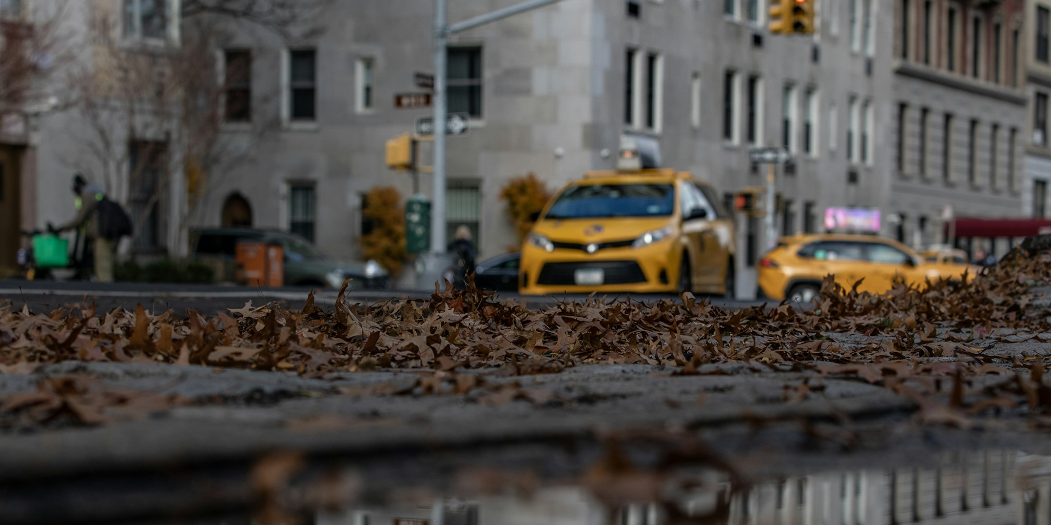 autumn leaves on the floor with NYC taxis at the background (out of focus)