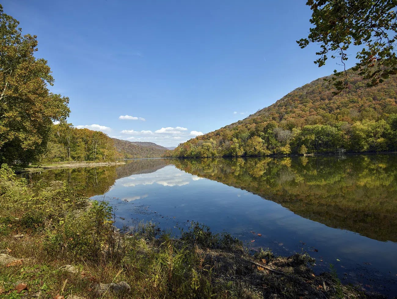 Hero background image