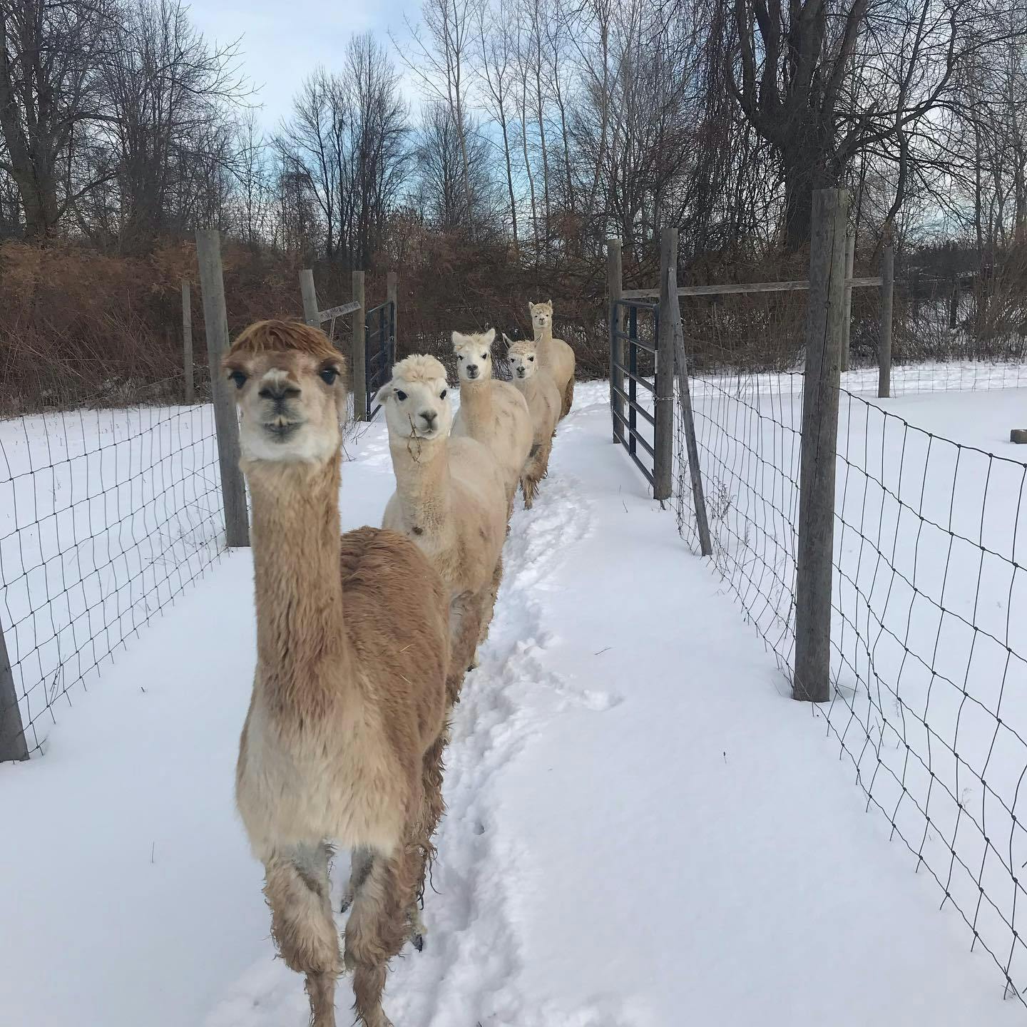 Hero background image