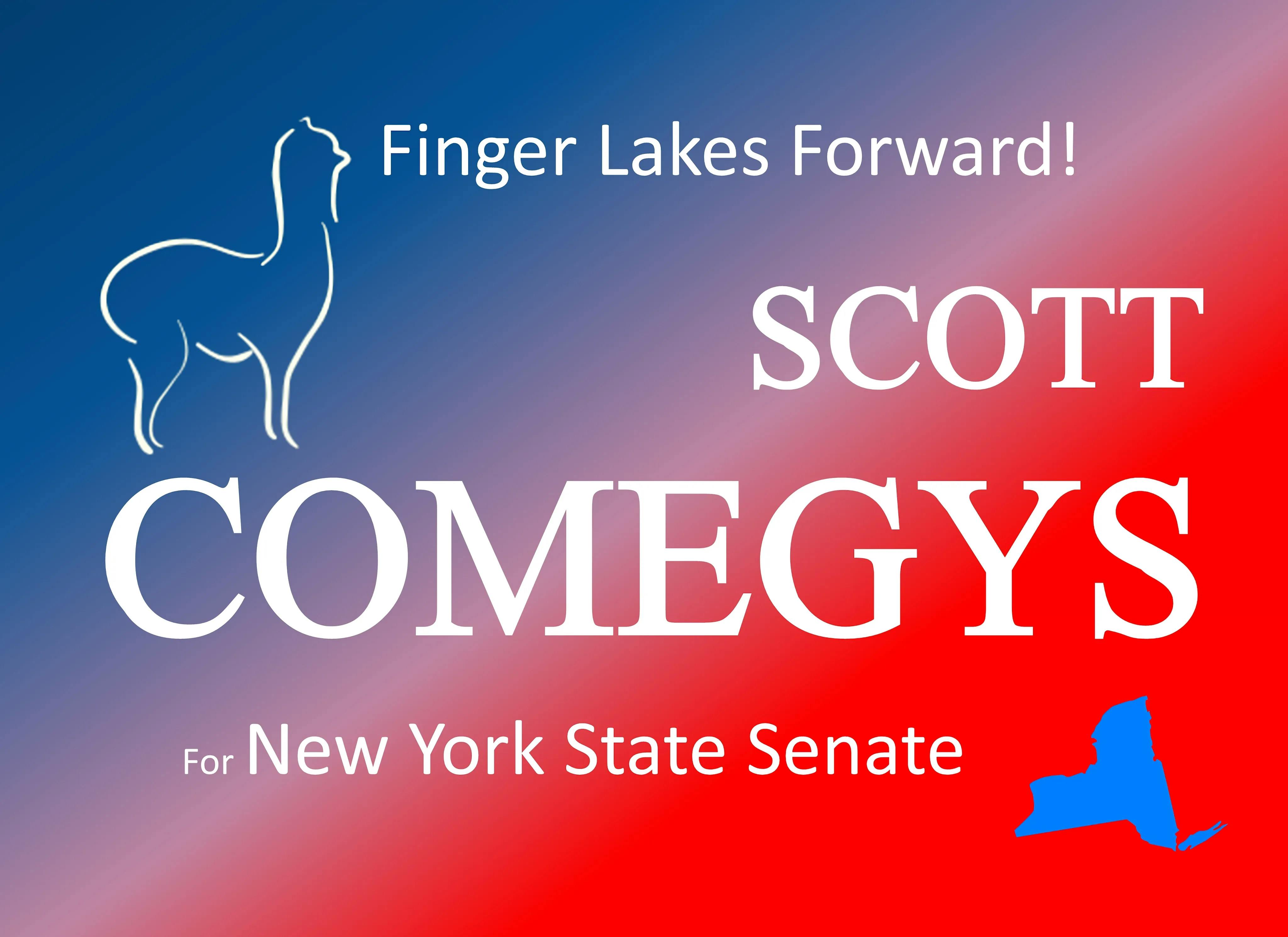 Scott Comegys for New York State Senate 54