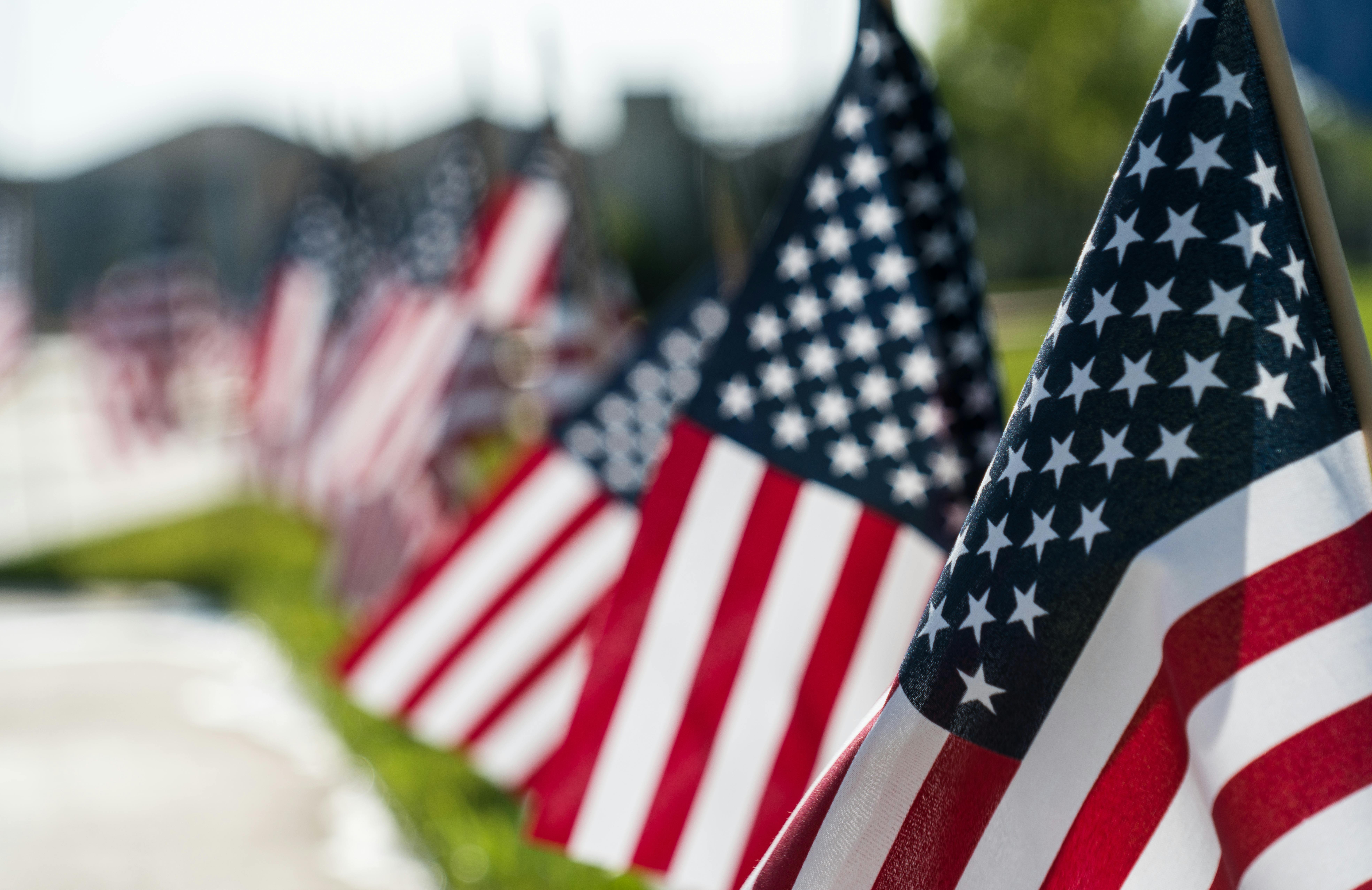 USA flags