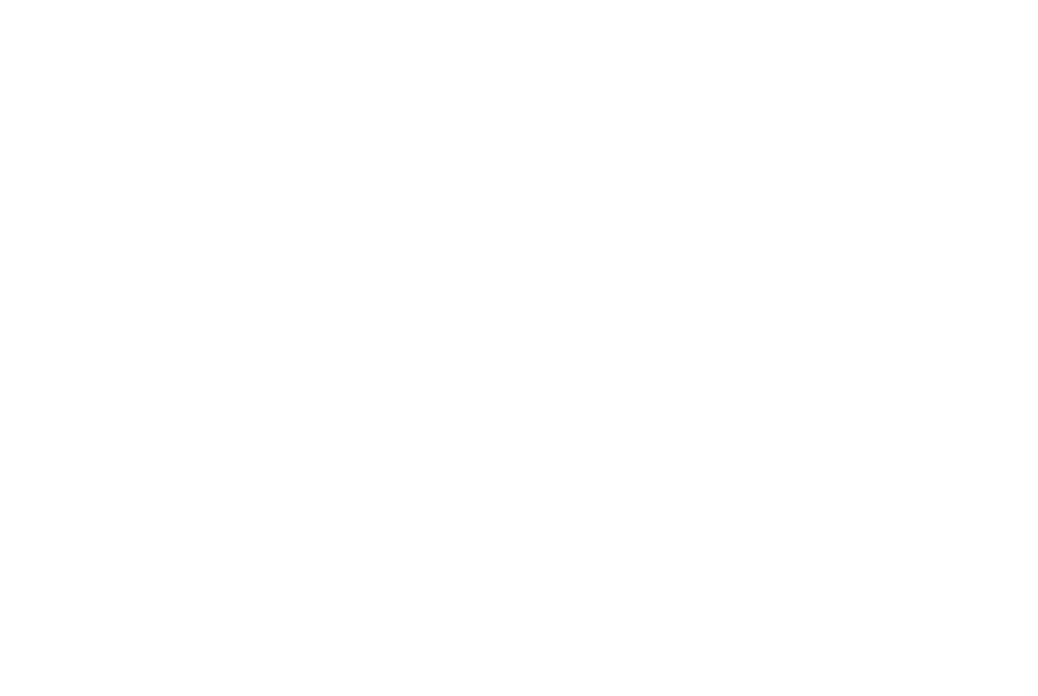Dr. Marie Feagins for Shelby County Mayor | Safe, Affordable, Thriving Communities