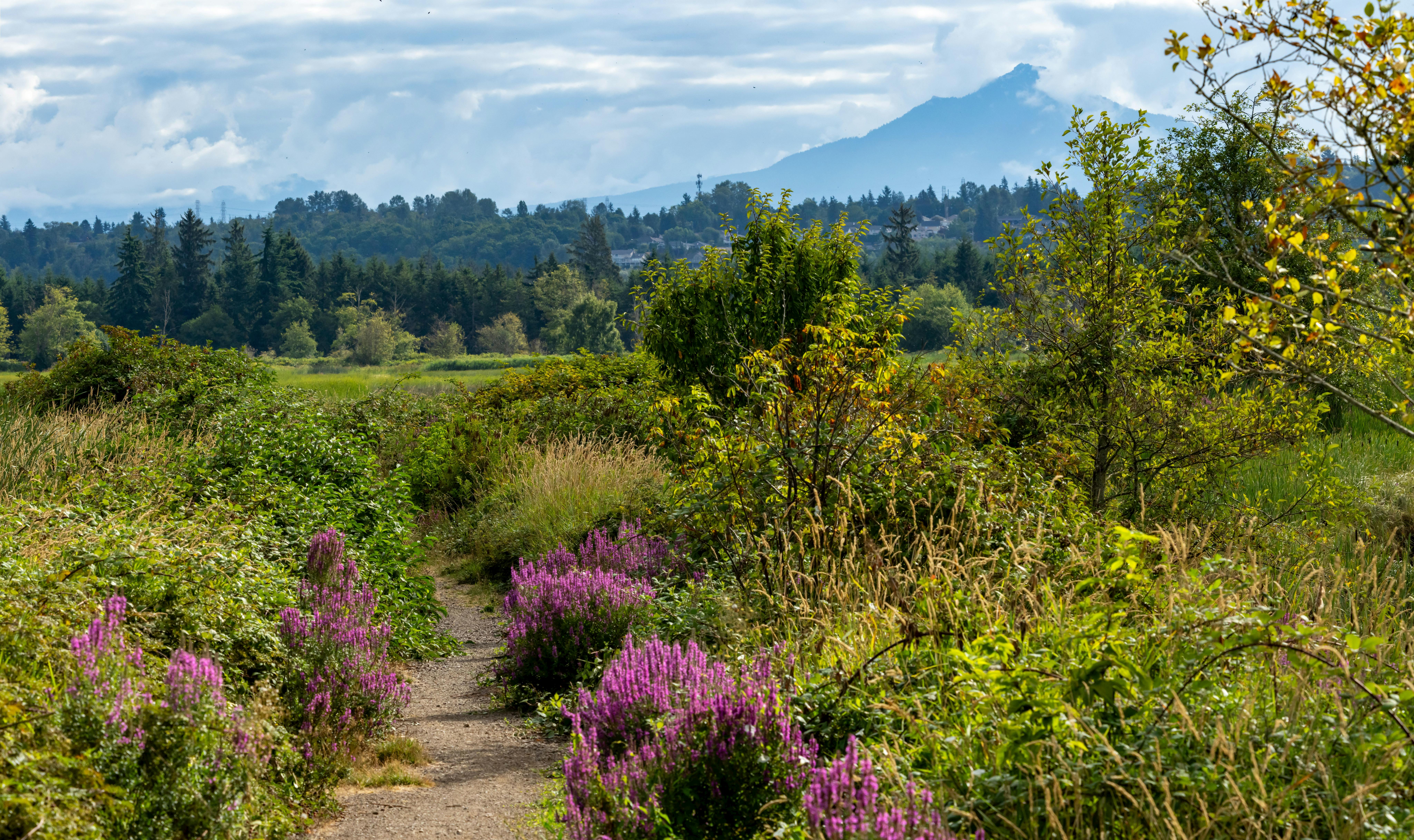 Hero background image
